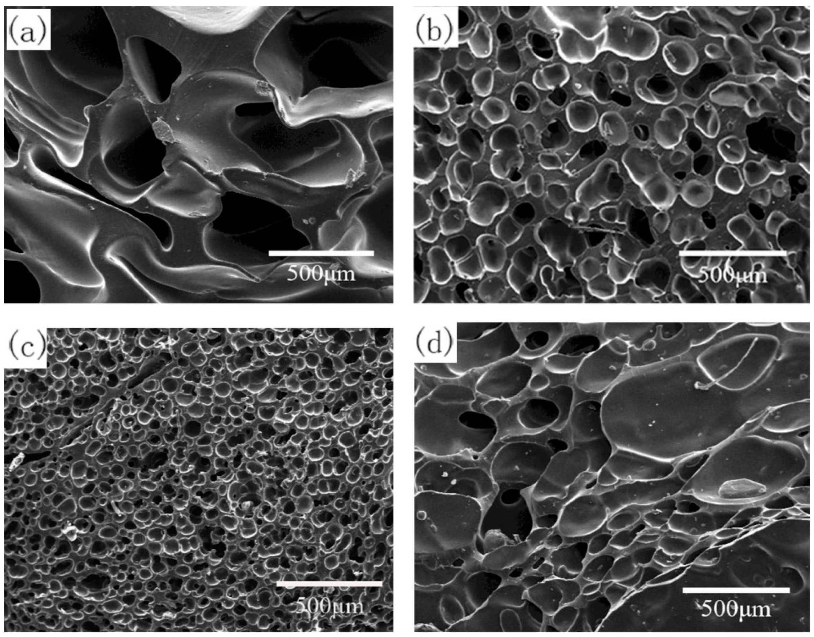 Polymers 13 03384 g009