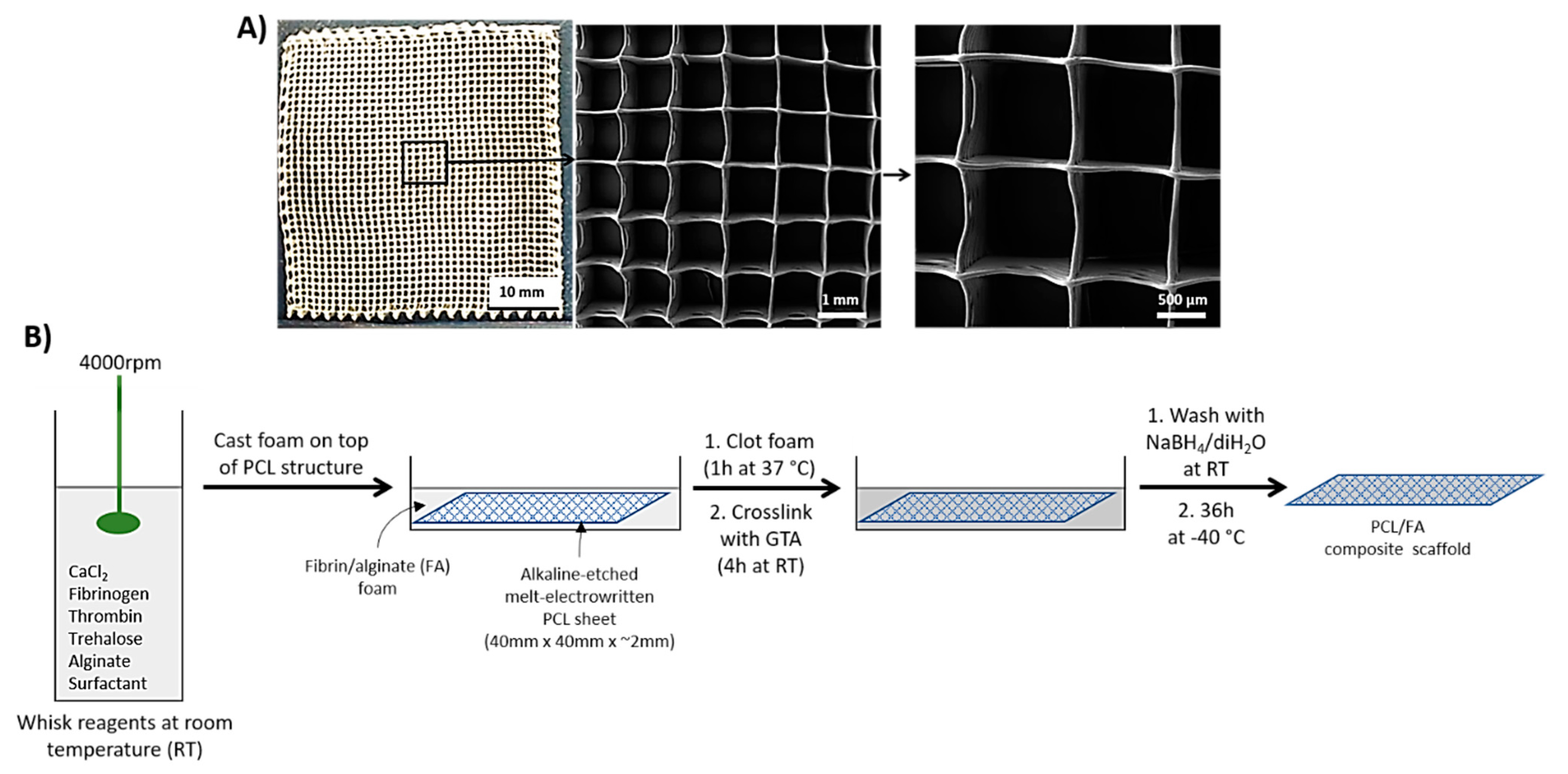 Polymers 13 03399 g001