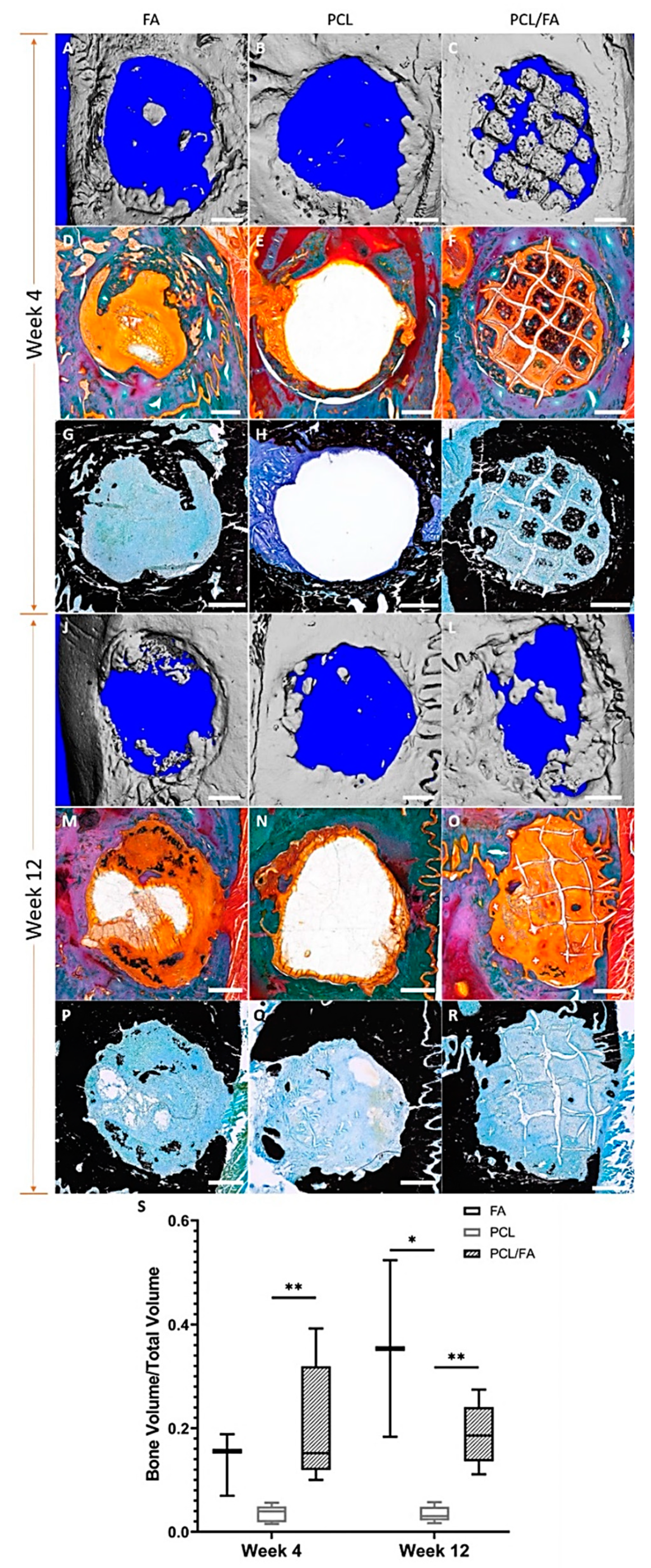 Polymers 13 03399 g008