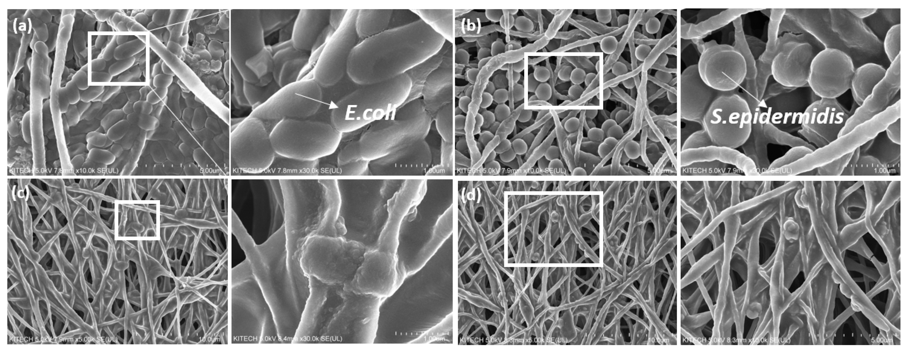 Polymers 13 03405 g006