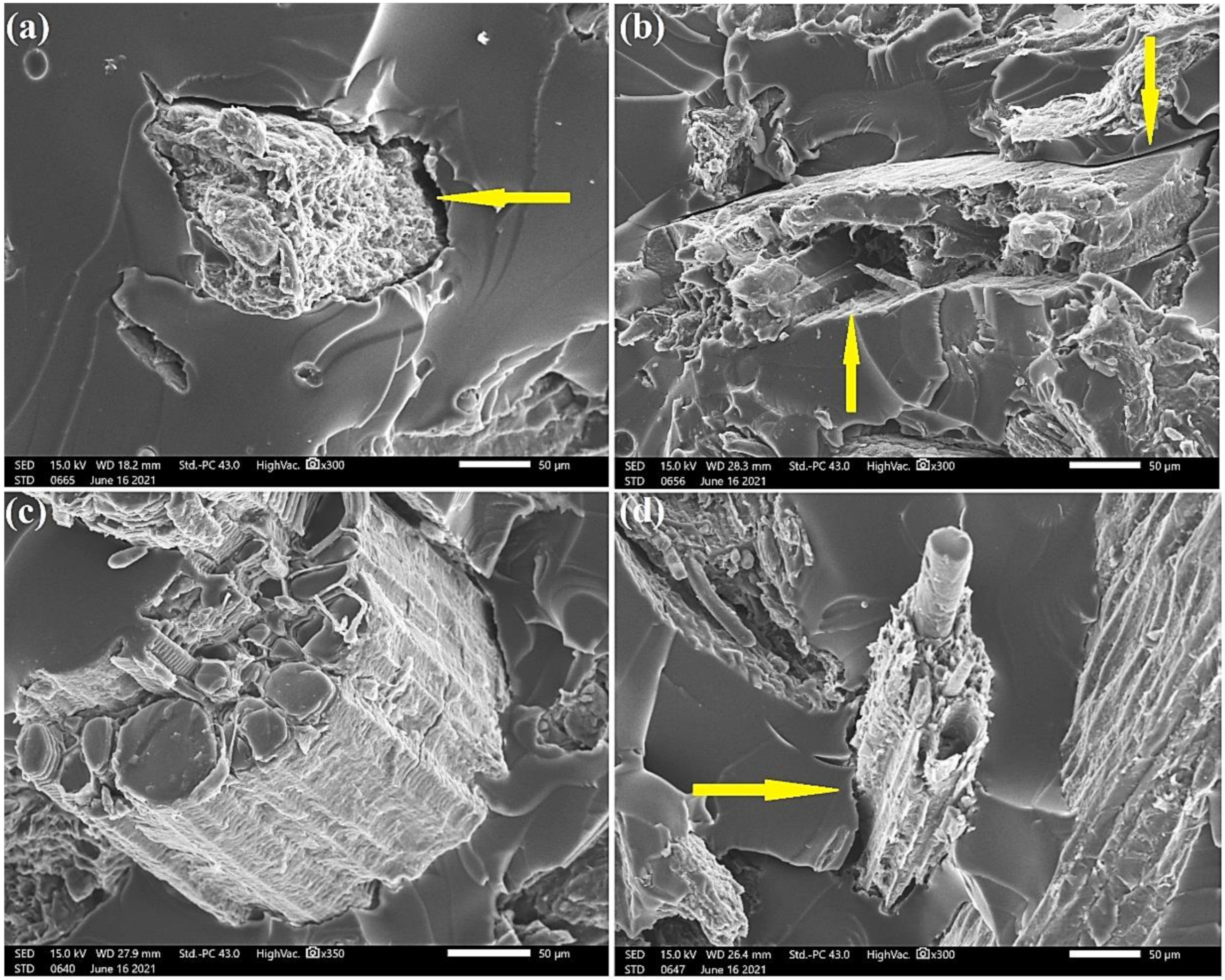Polymers 13 03428 g012