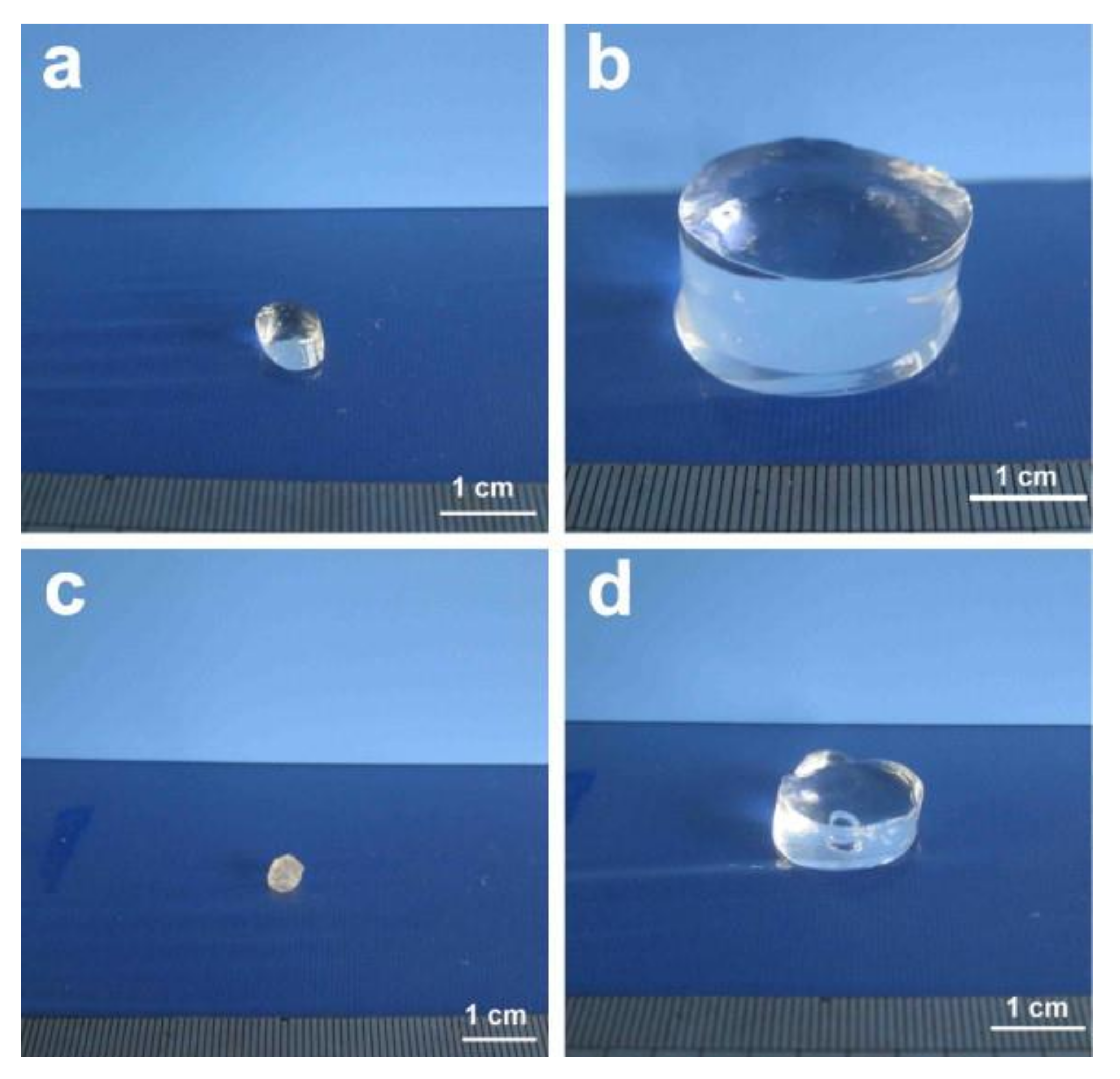 Polymers 13 03433 g004