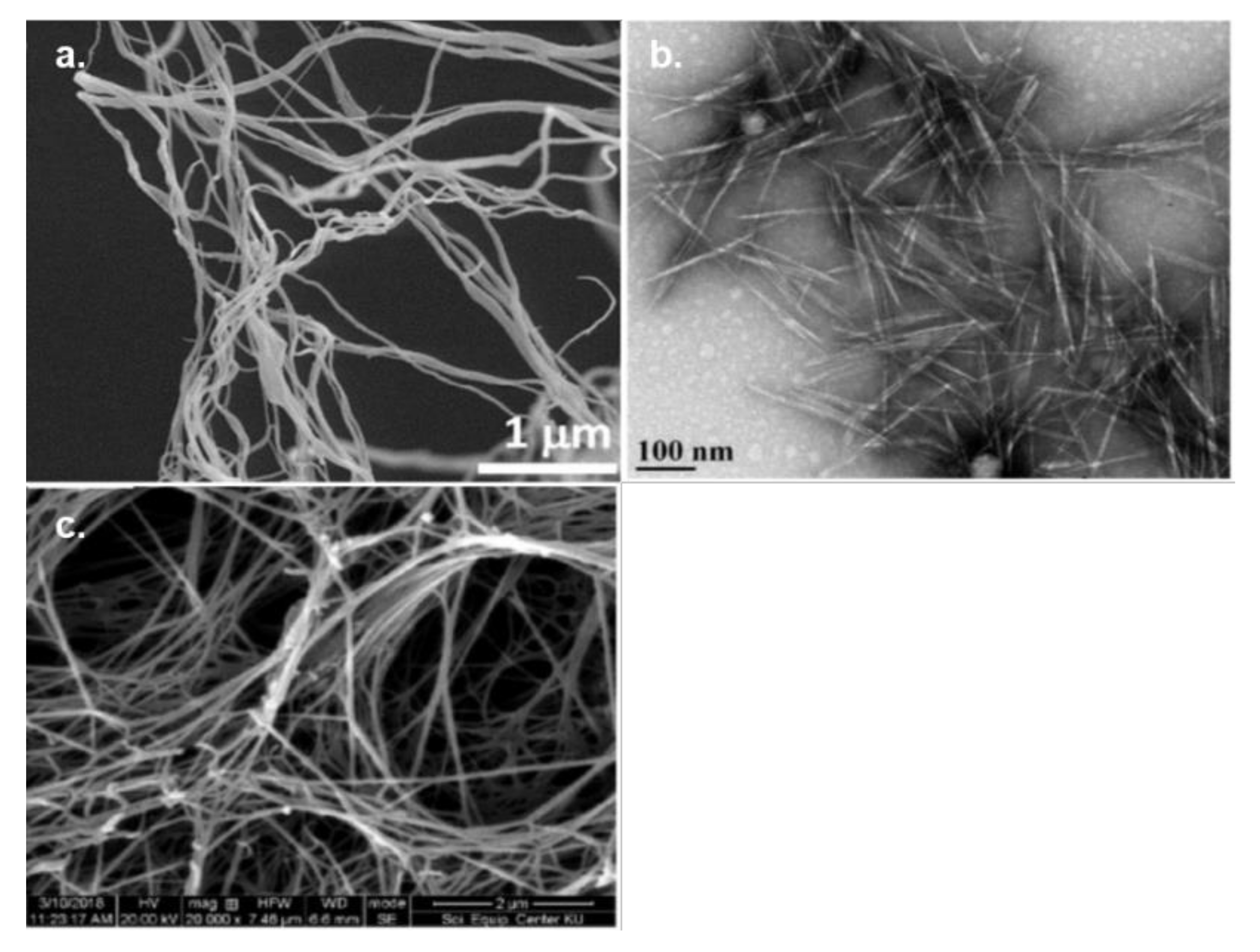 Polymers 13 03433 g008