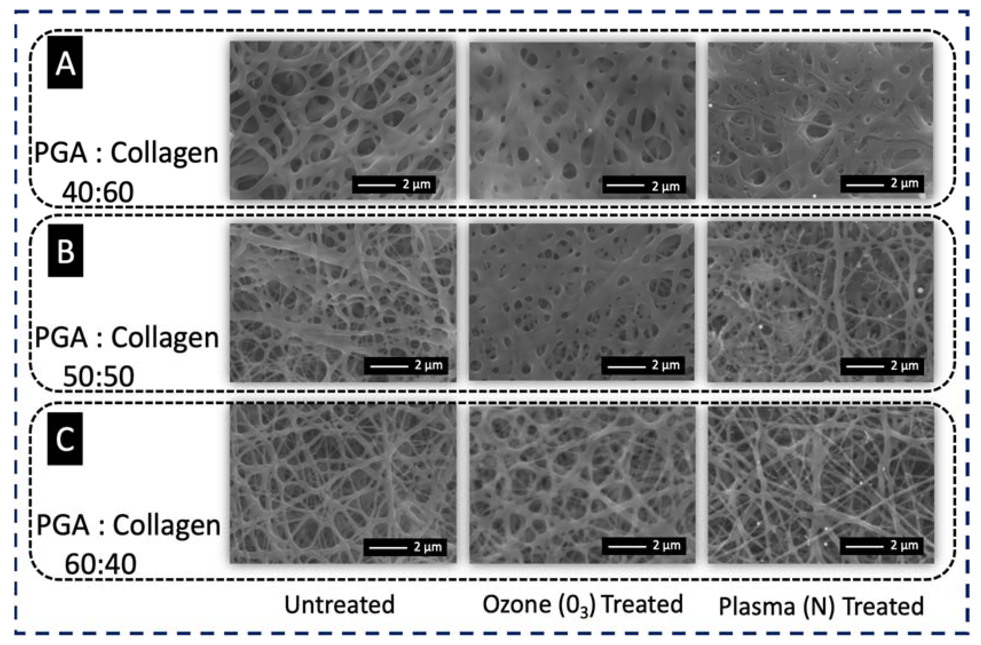 Polymers 13 03458 g003