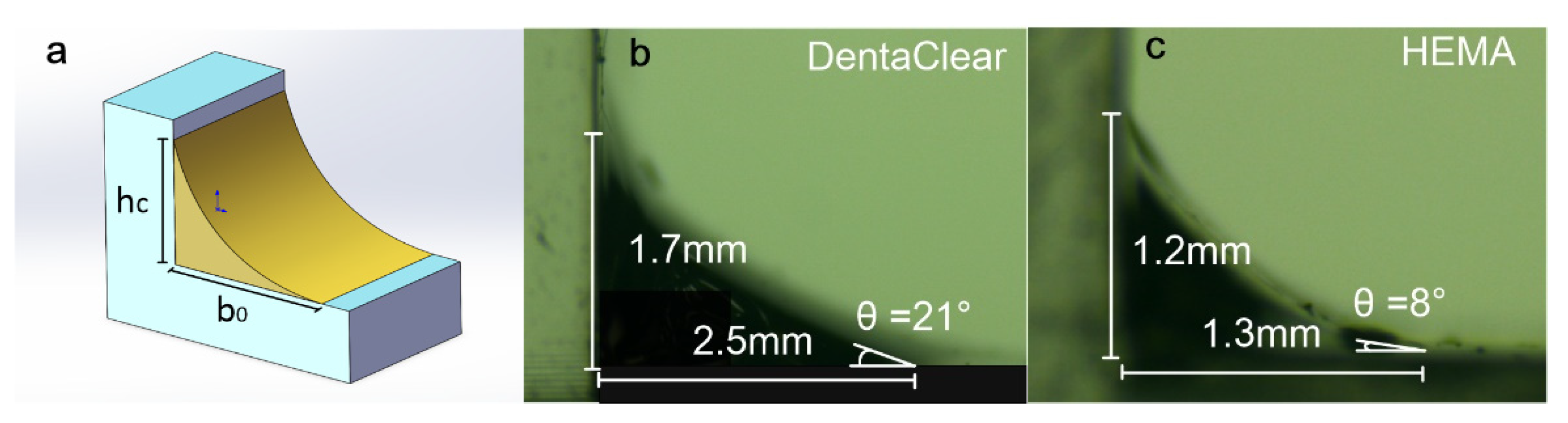 Polymers 13 03477 g004a