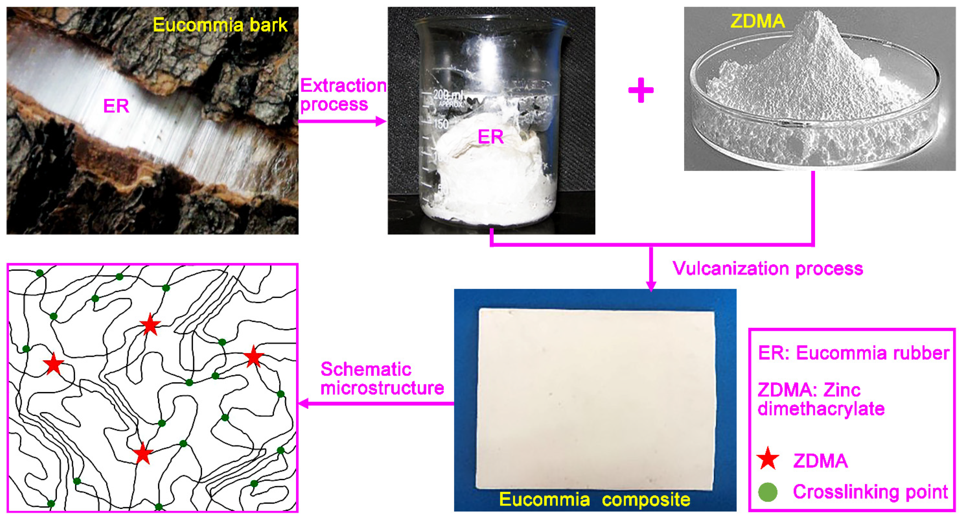 Polymers 13 03479 g001