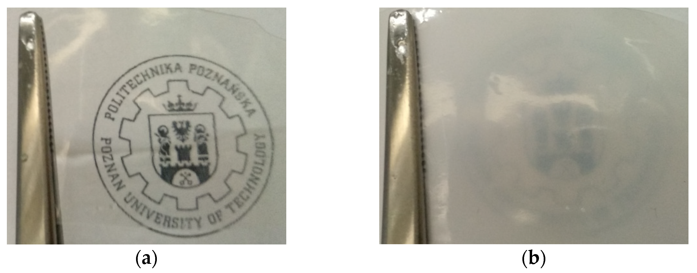 Polymers 13 03495 g007