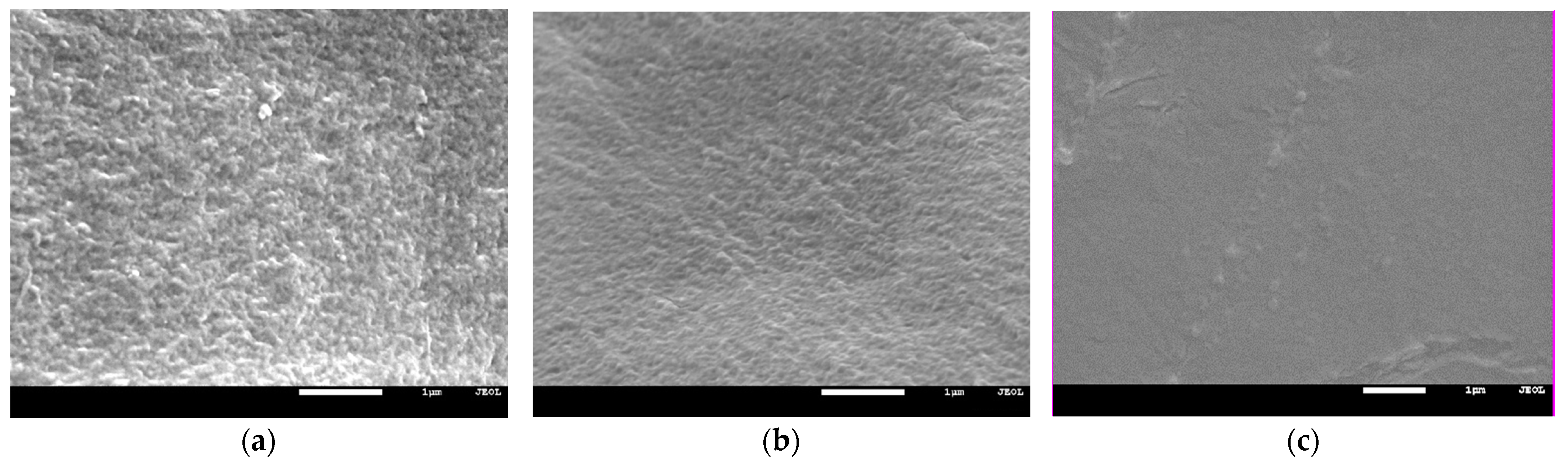 Polymers 13 03495 g008