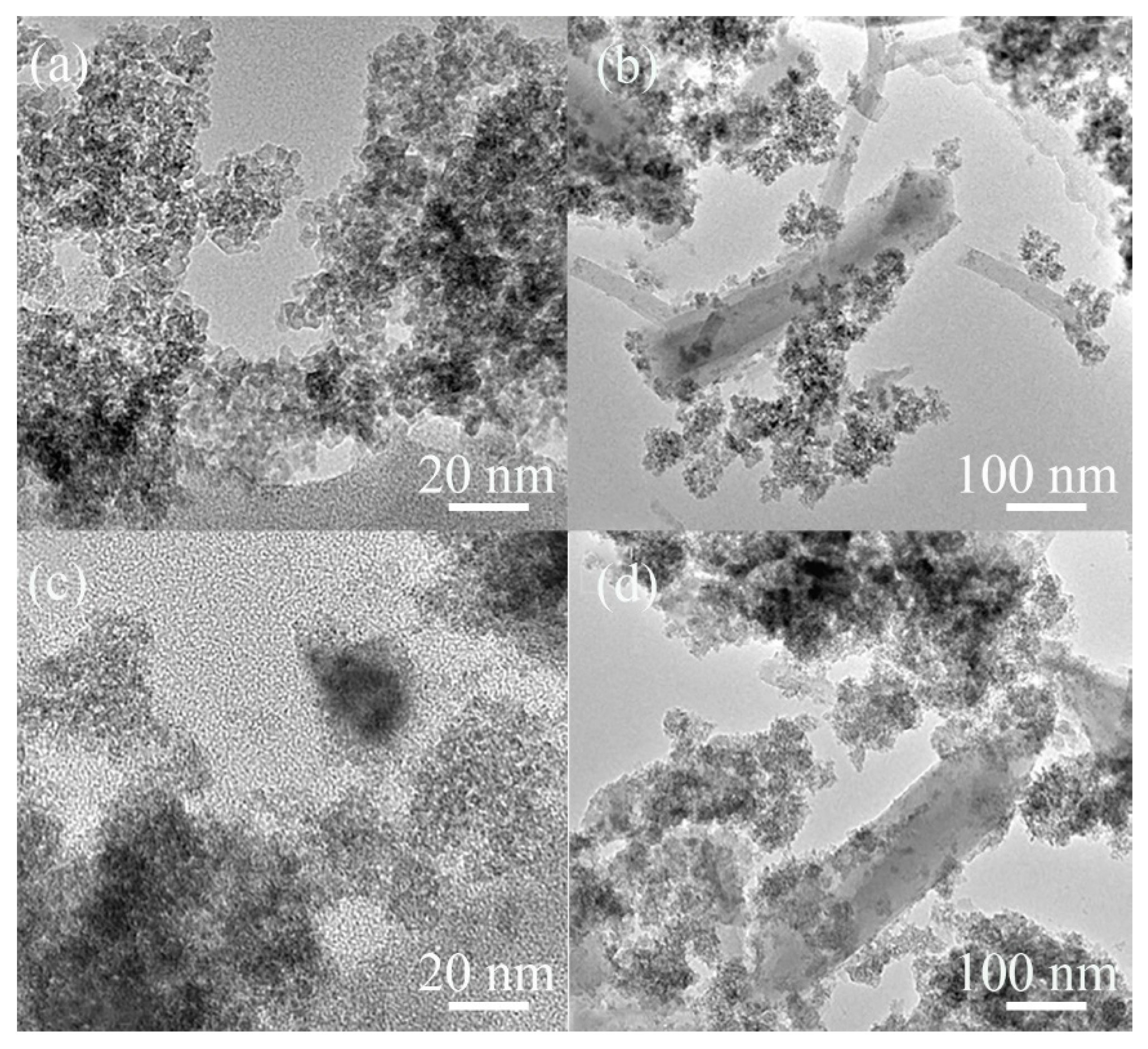 Polymers 13 03498 g003