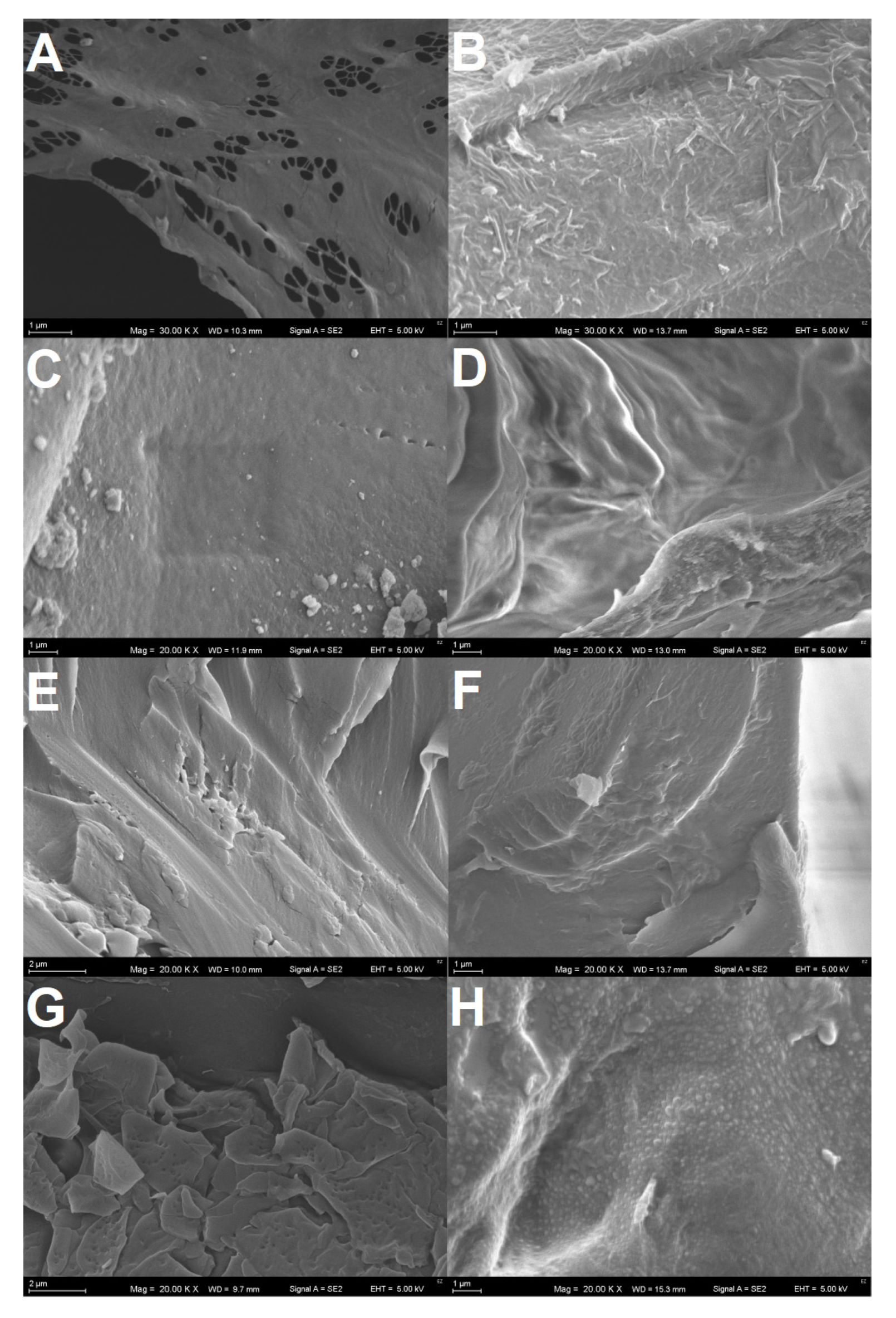 Polymers 13 03508 g004