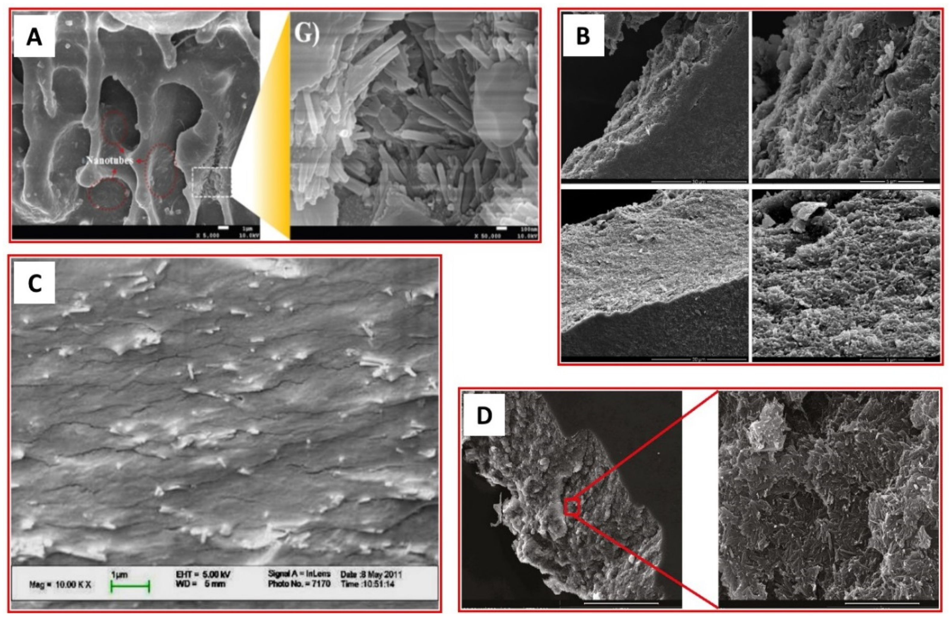 Polymers 13 03510 g003