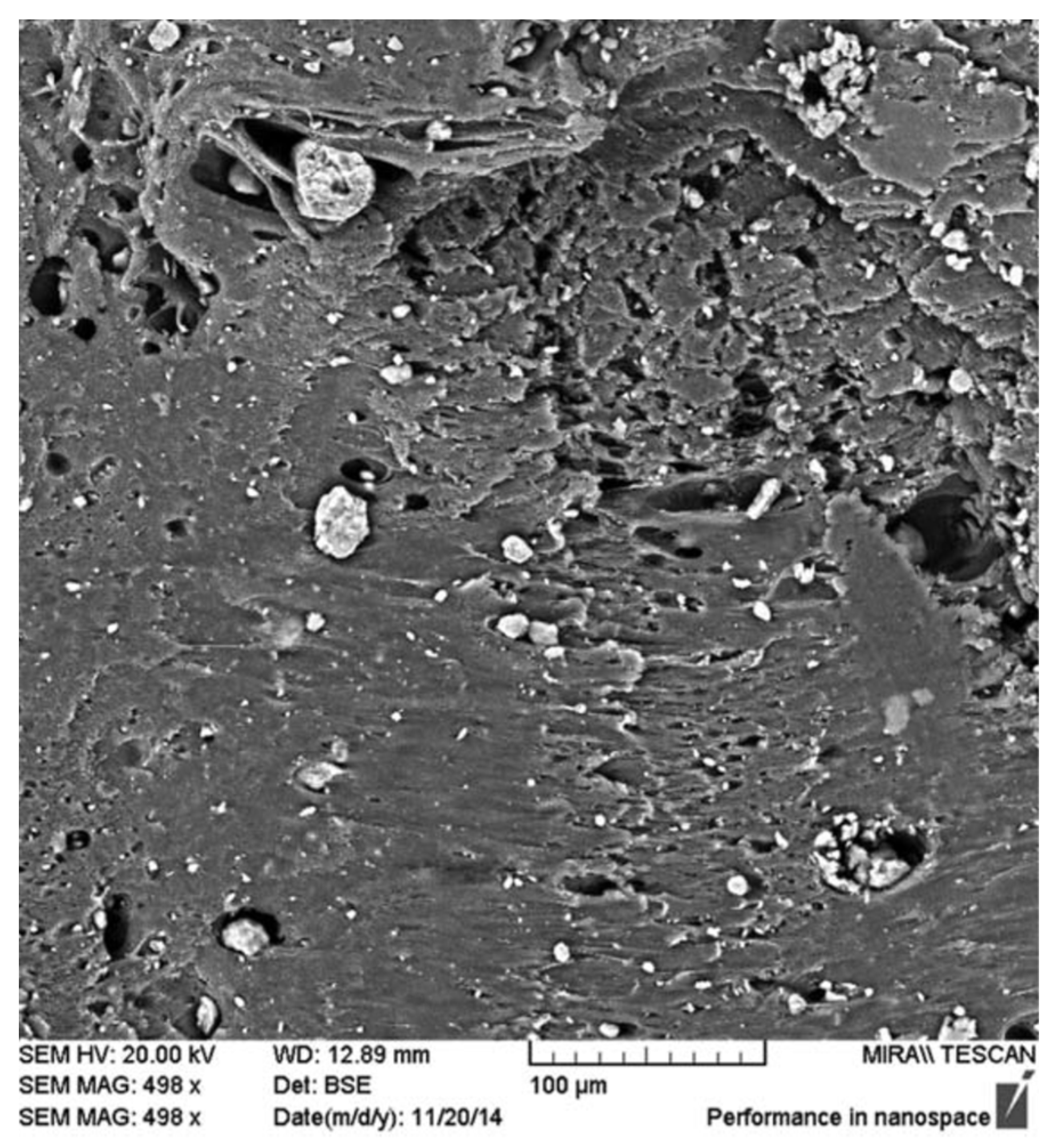 Polymers 13 03510 g004