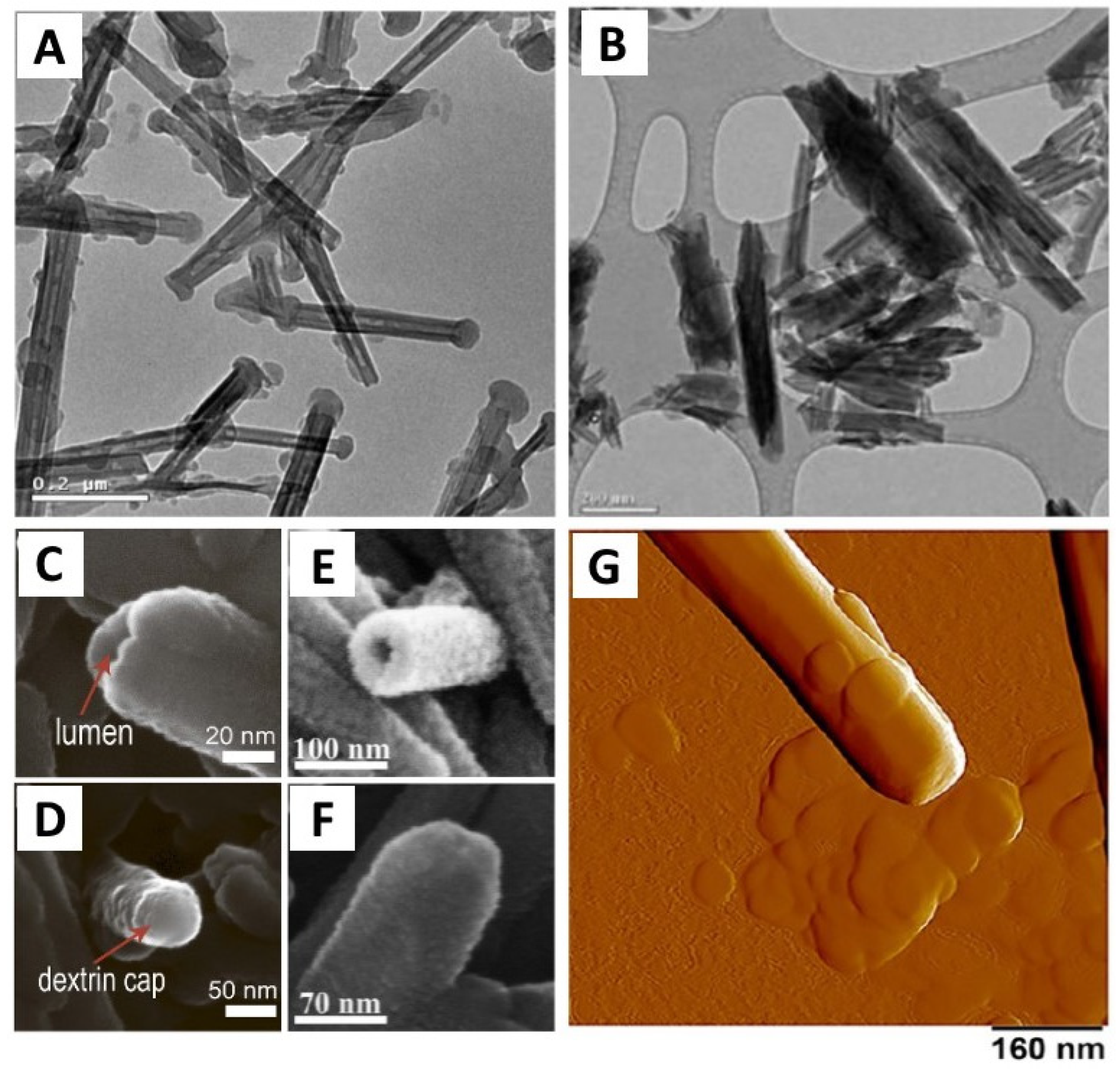 Polymers 13 03510 g010