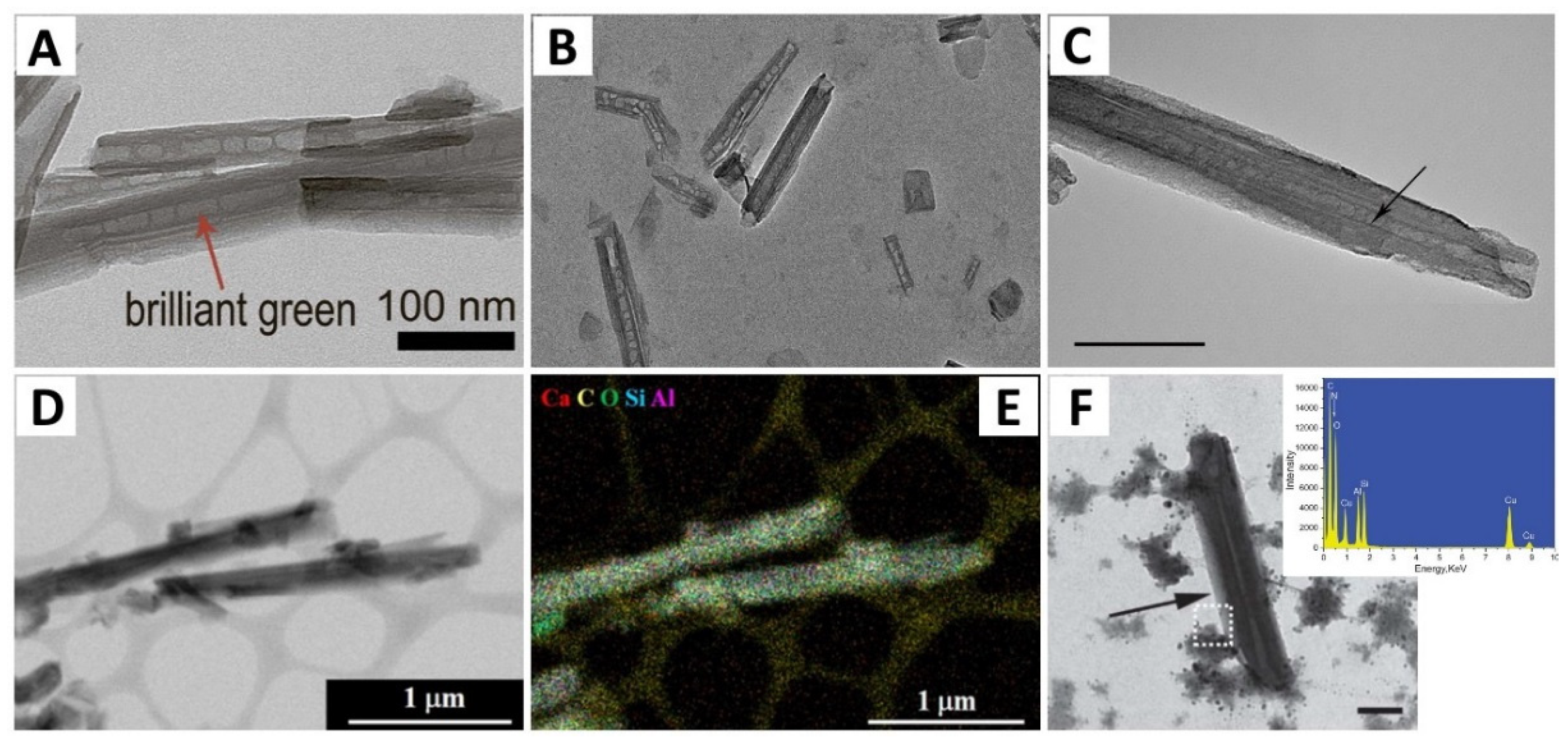 Polymers 13 03510 g011