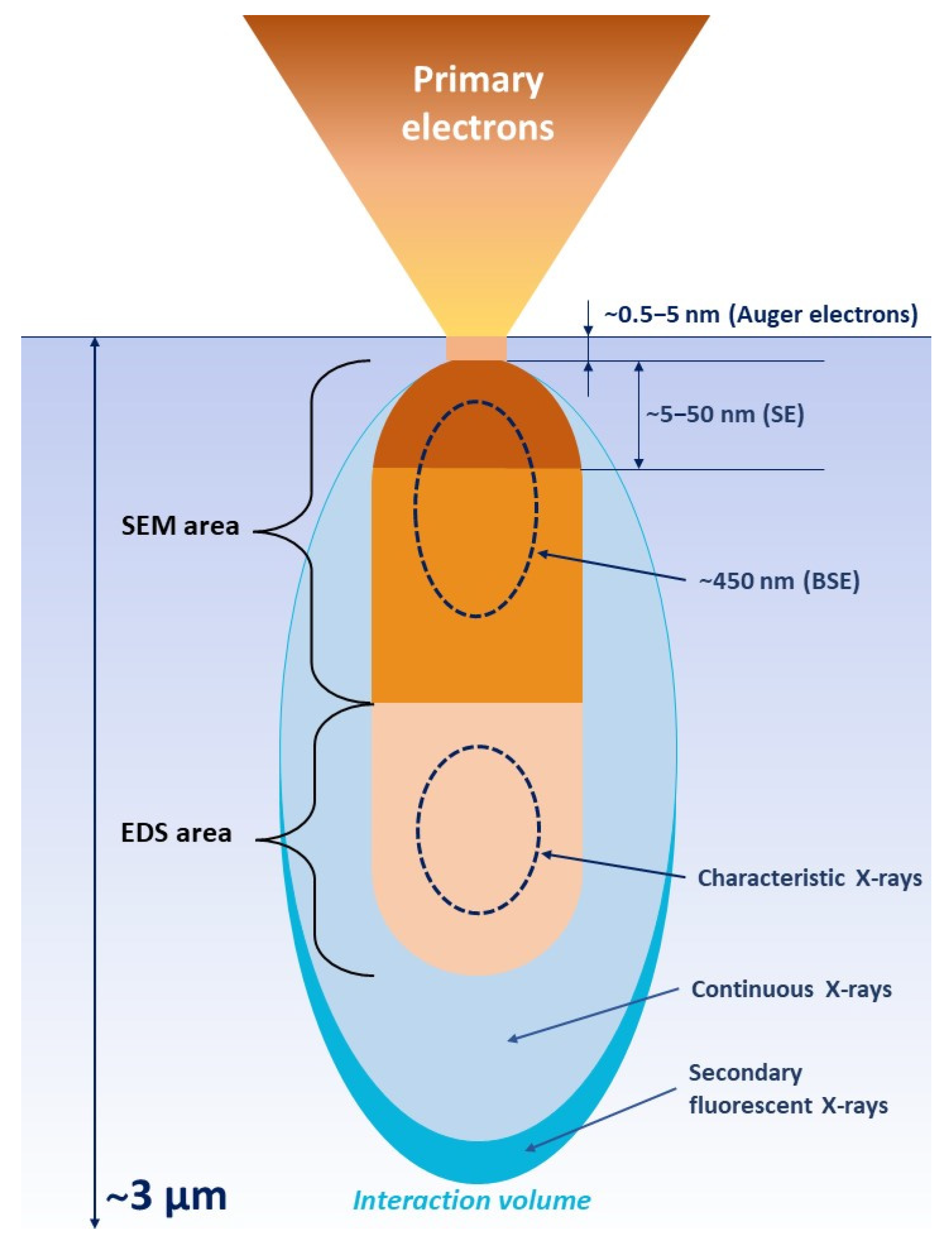 Polymers 13 03510 sch001