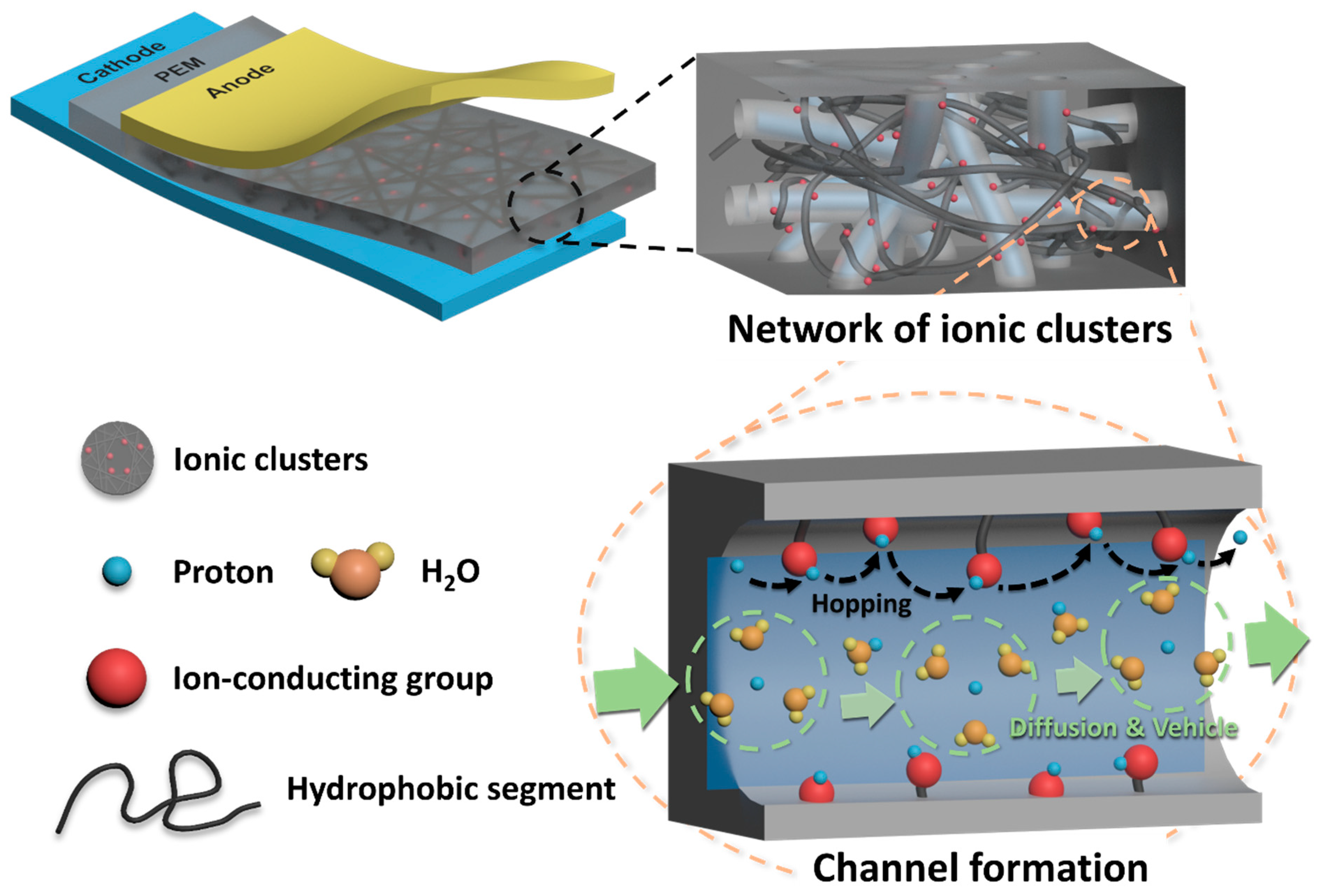 Polymers 13 03520 g002
