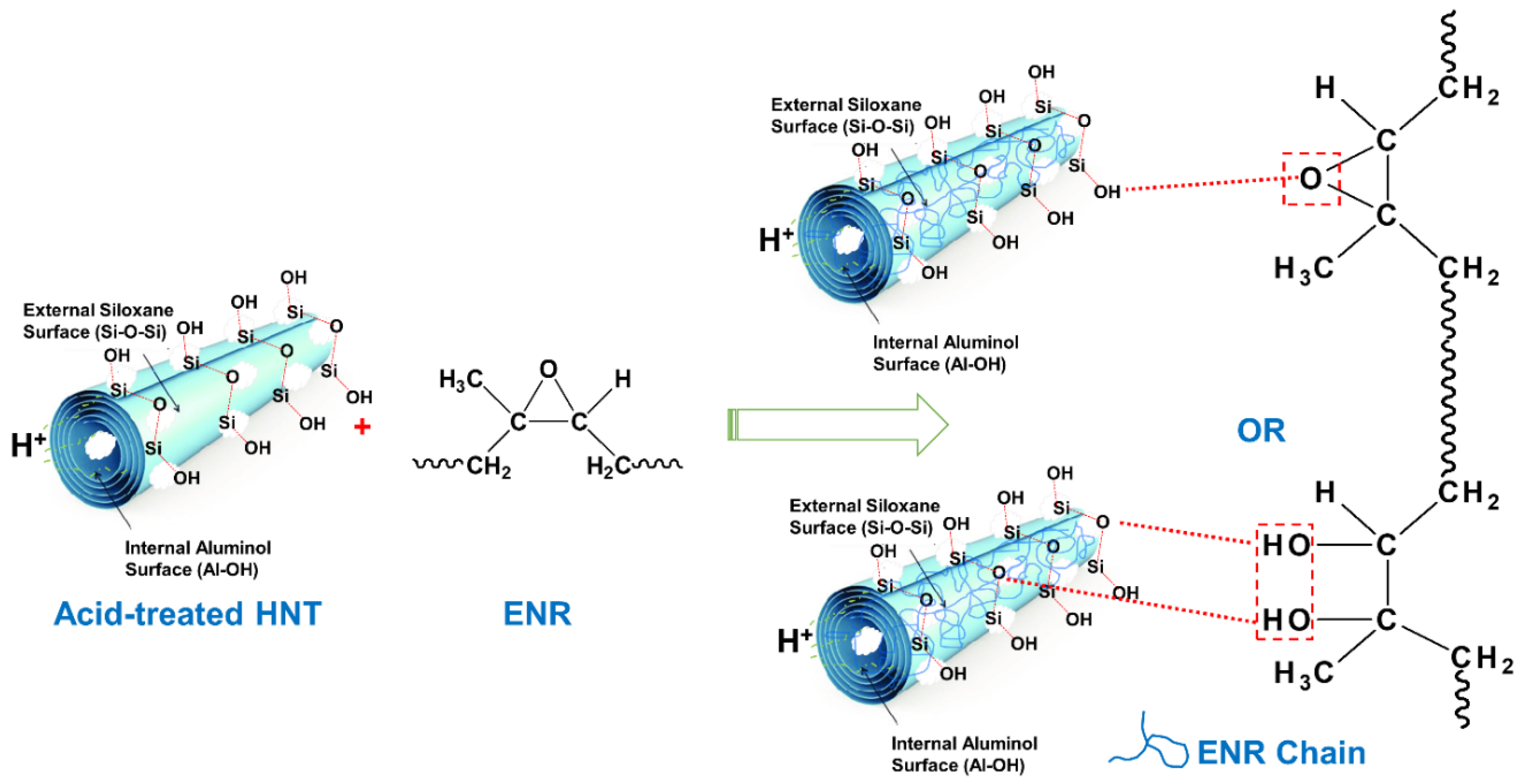 Polymers 13 03536 g009