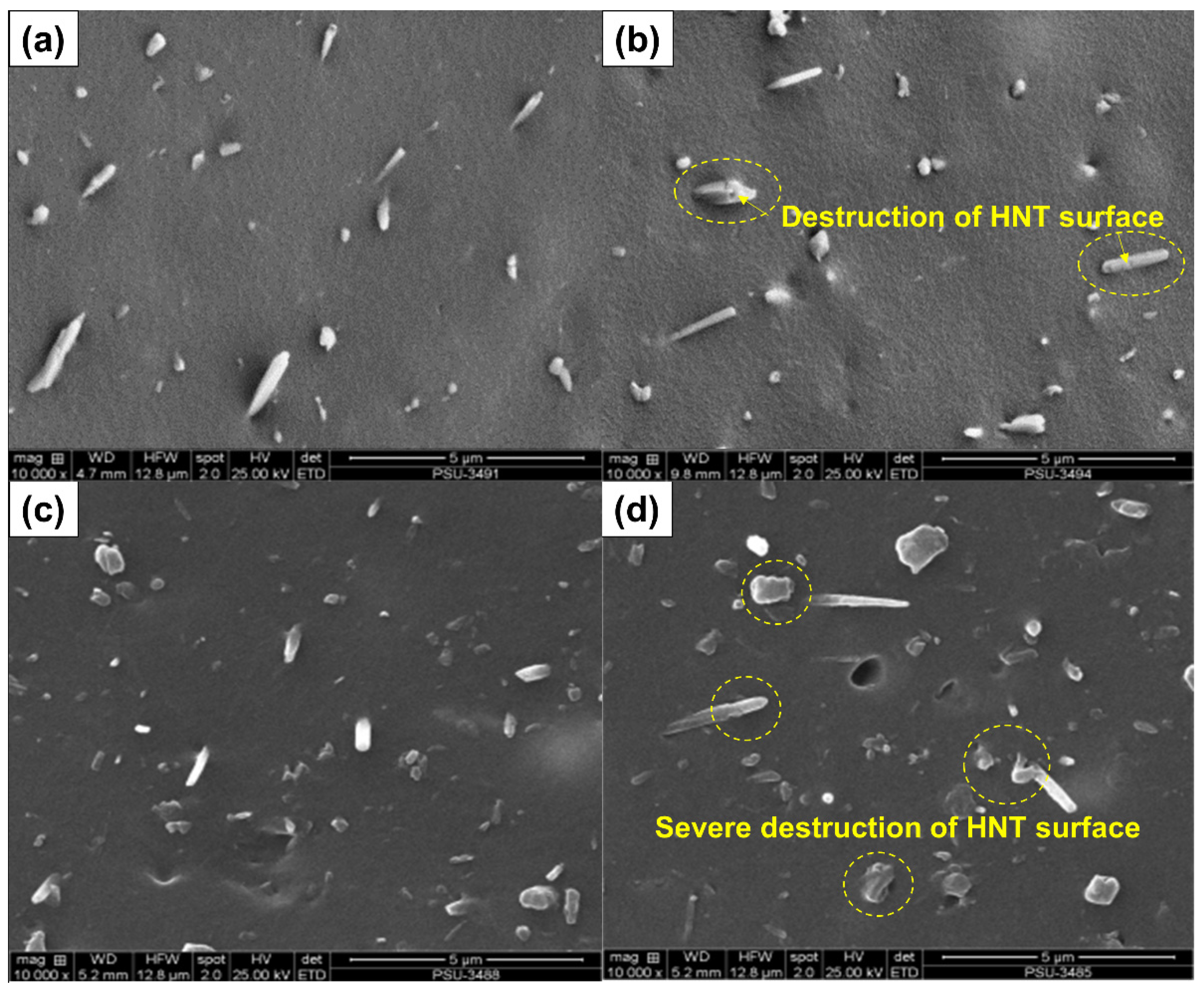 Polymers 13 03536 g011