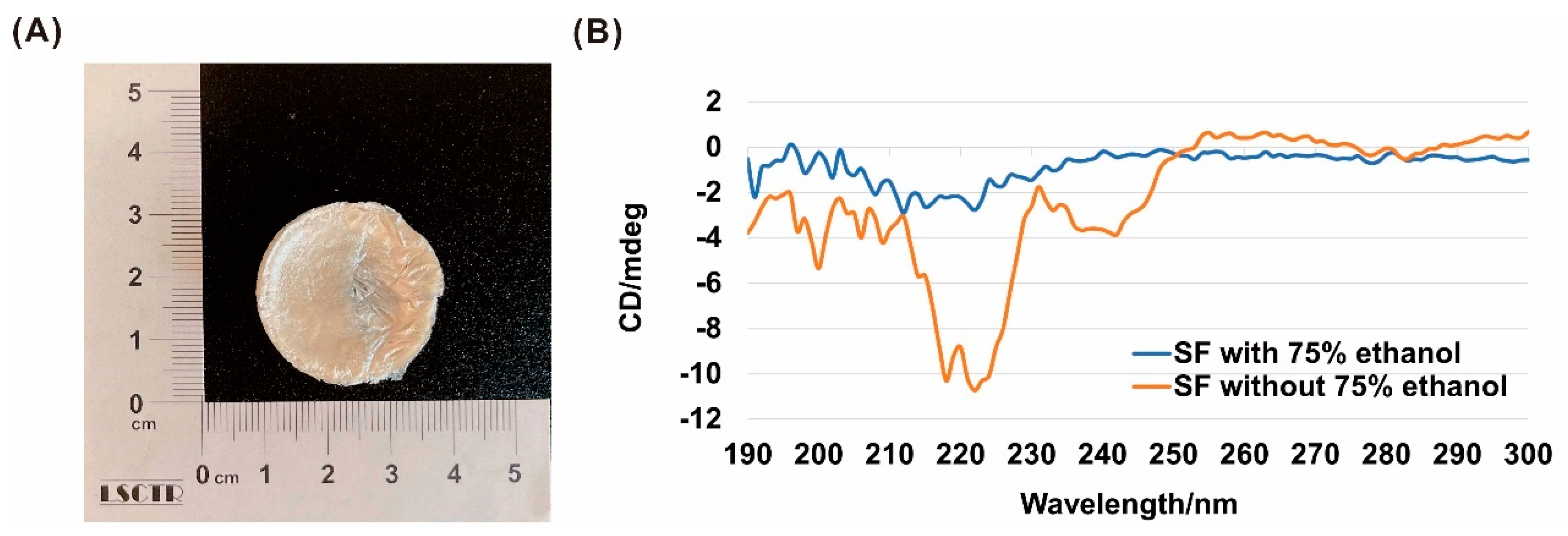 Polymers 13 03537 g001 Polymers 13 03537 g001