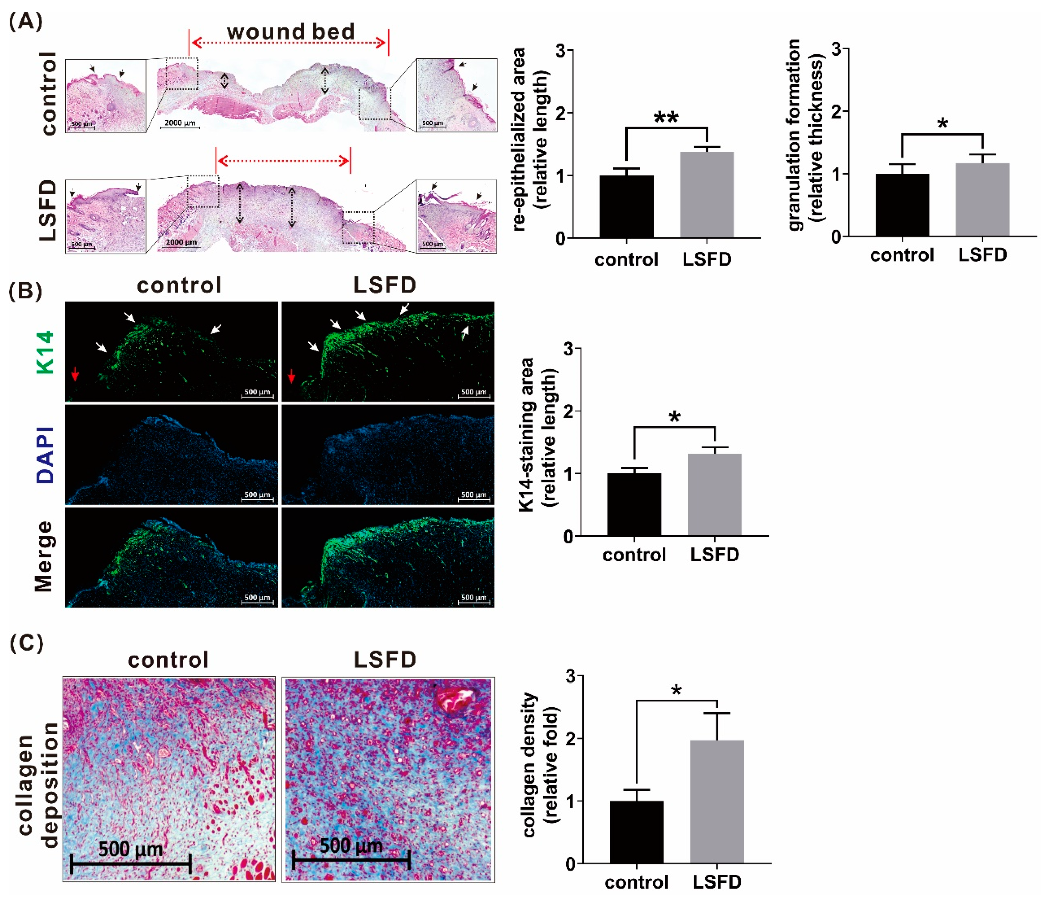 Polymers 13 03537 g003 Polymers 13 03537 g003