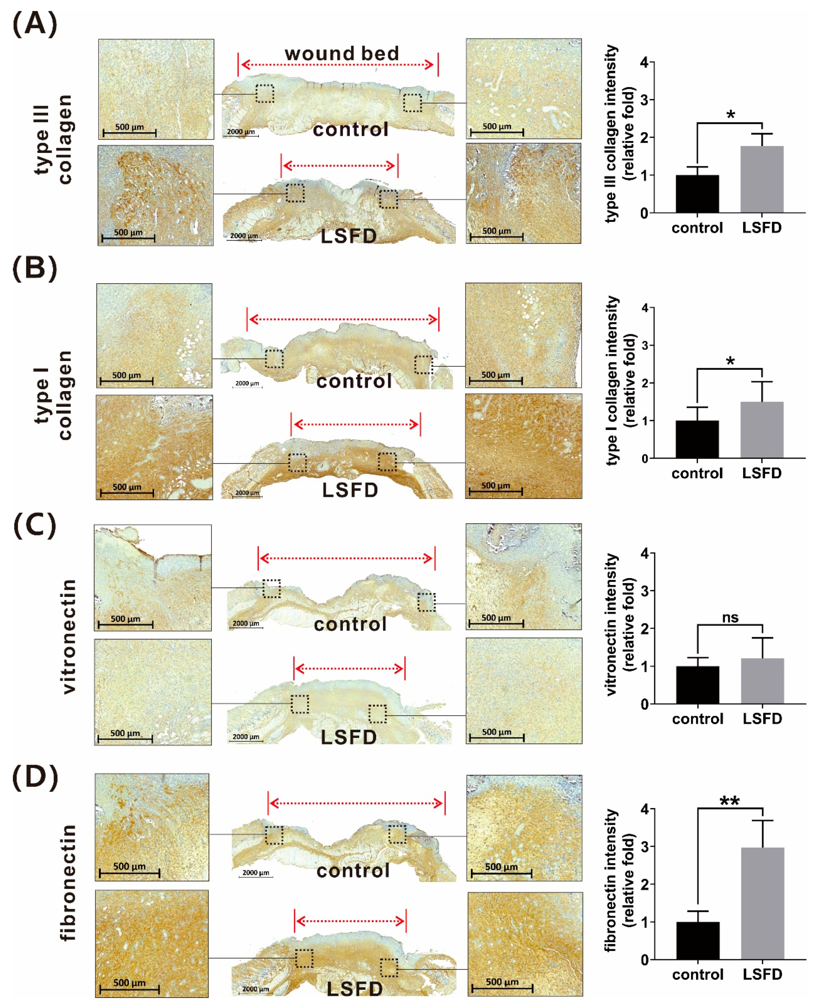 Polymers 13 03537 g005 Polymers 13 03537 g005