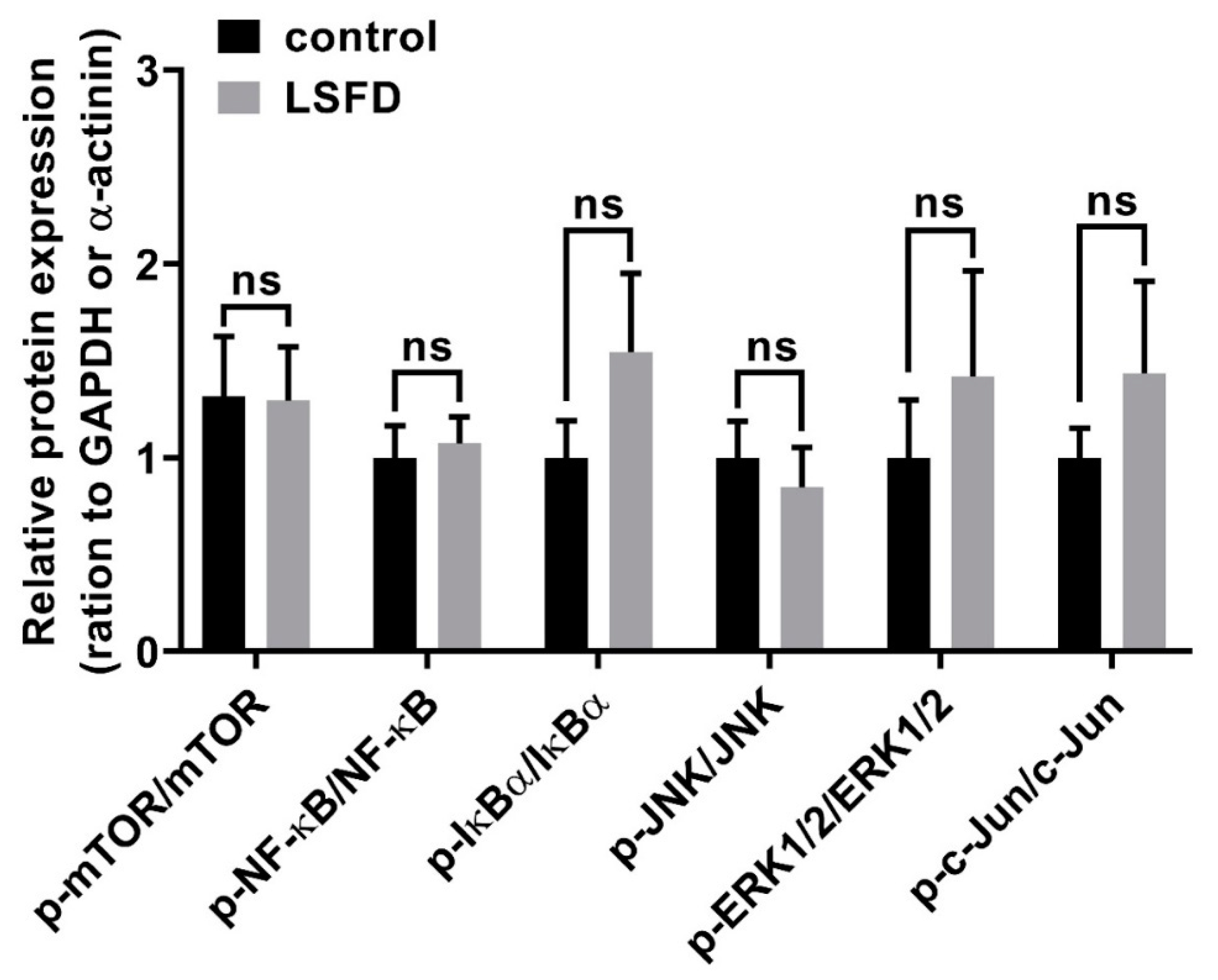 Polymers 13 03537 g006 Polymers 13 03537 g006