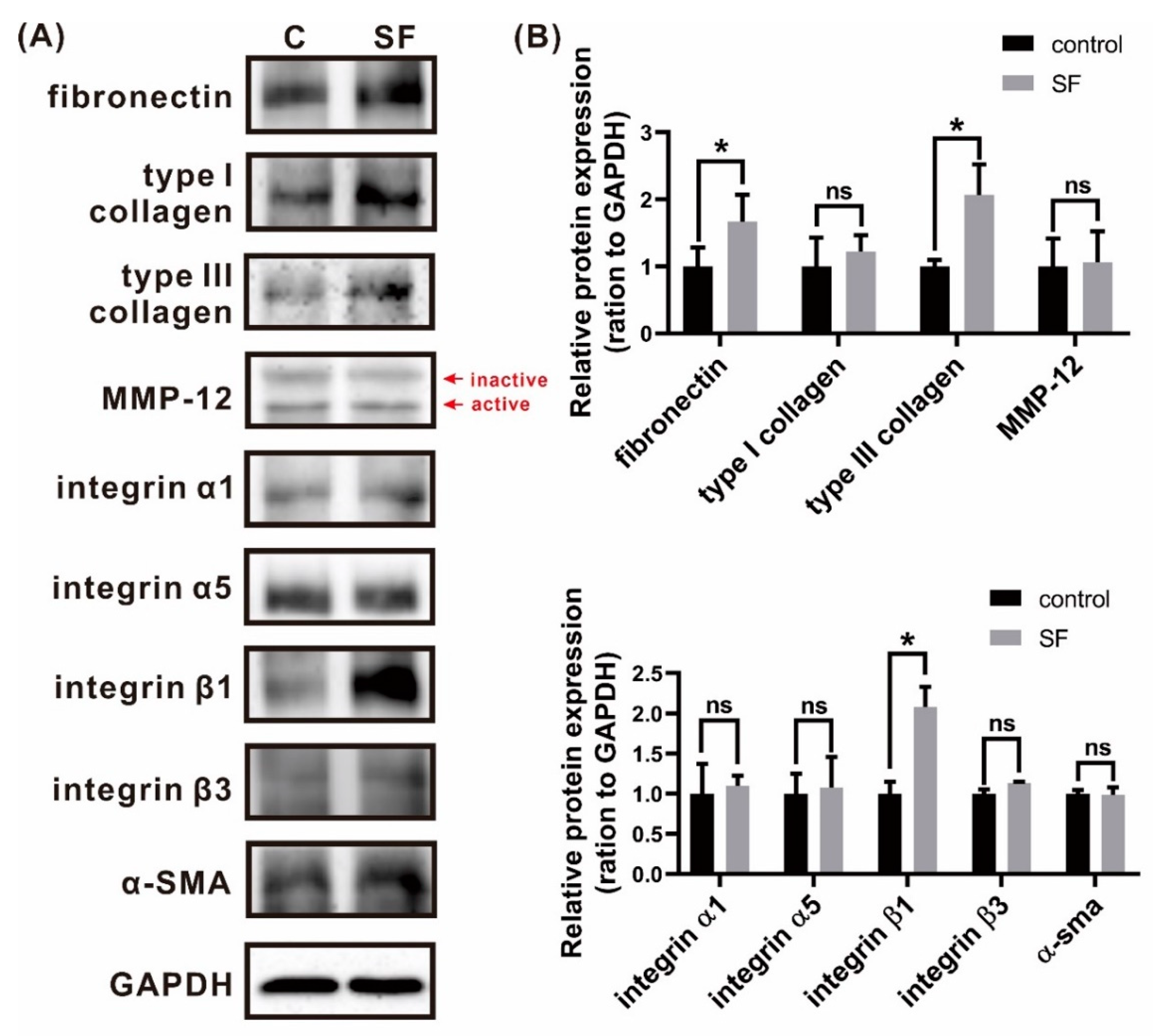 Polymers 13 03537 g009 Polymers 13 03537 g009