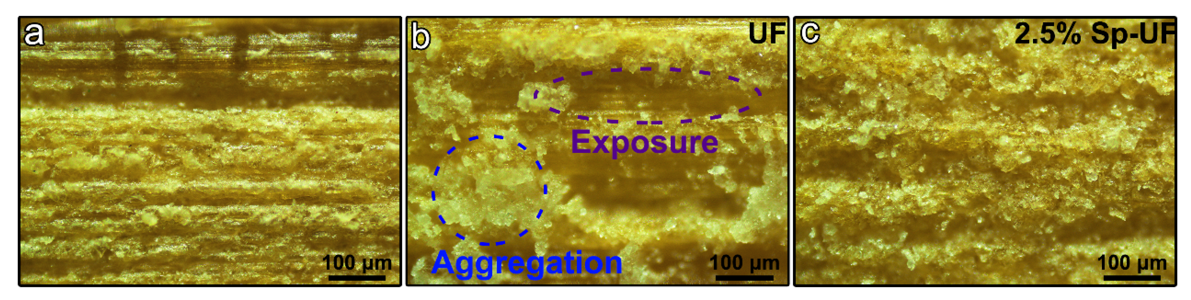 Polymers 13 03542 g008