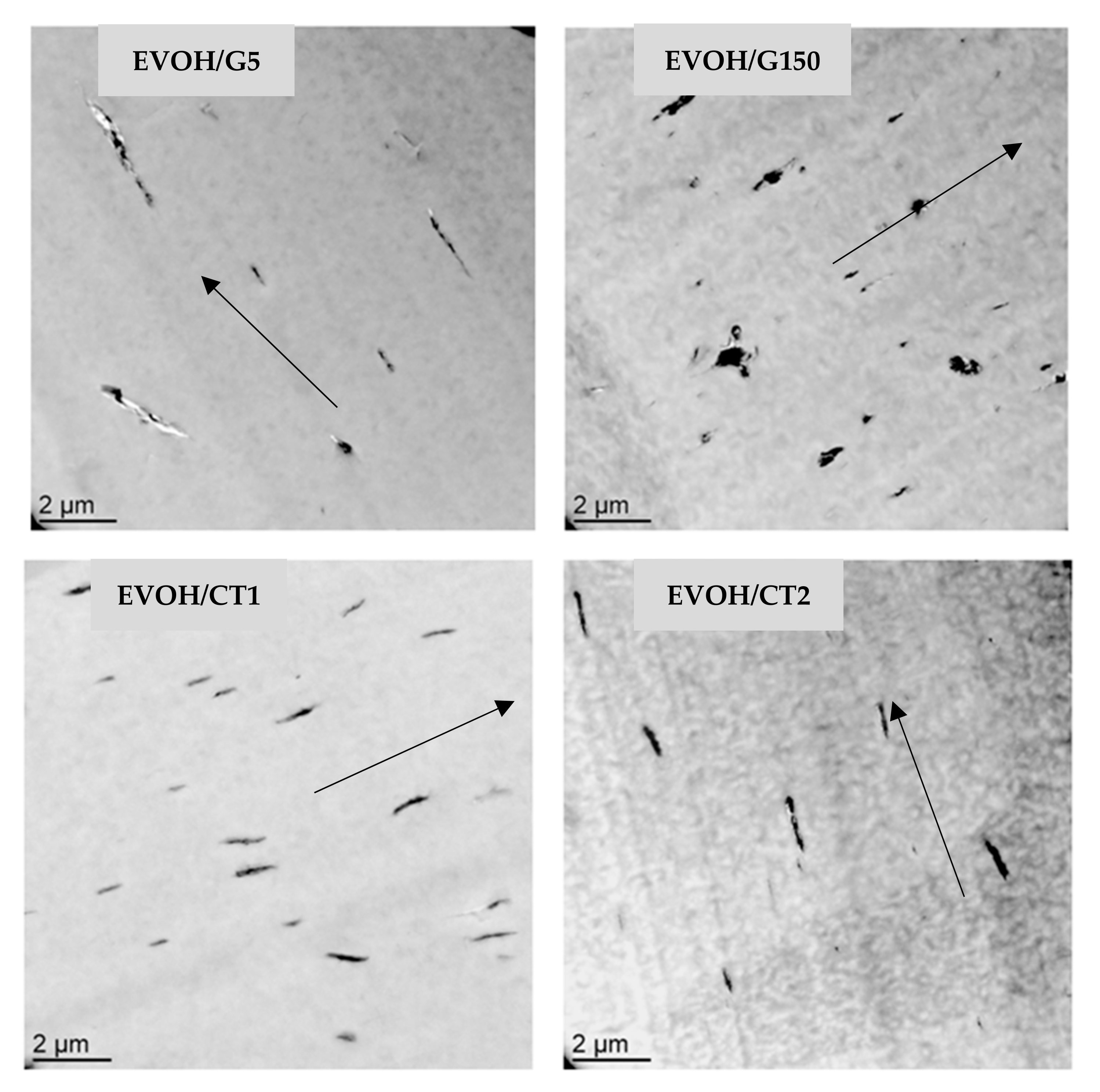 Polymers 13 03546 g001