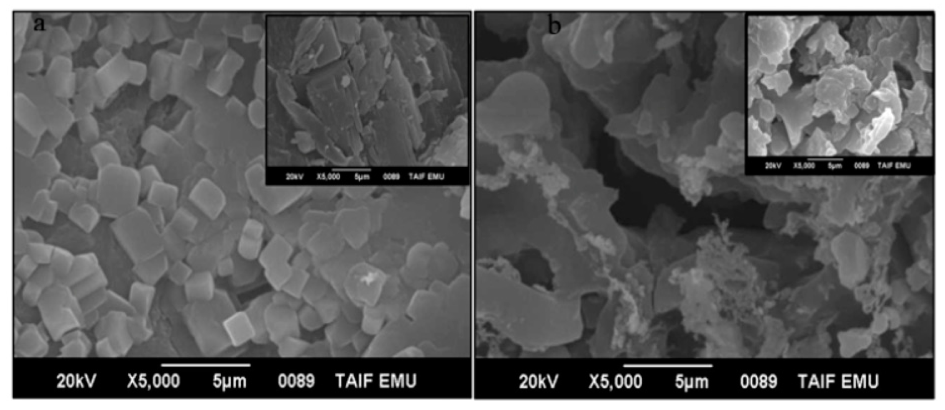 Polymers 13 03559 g004