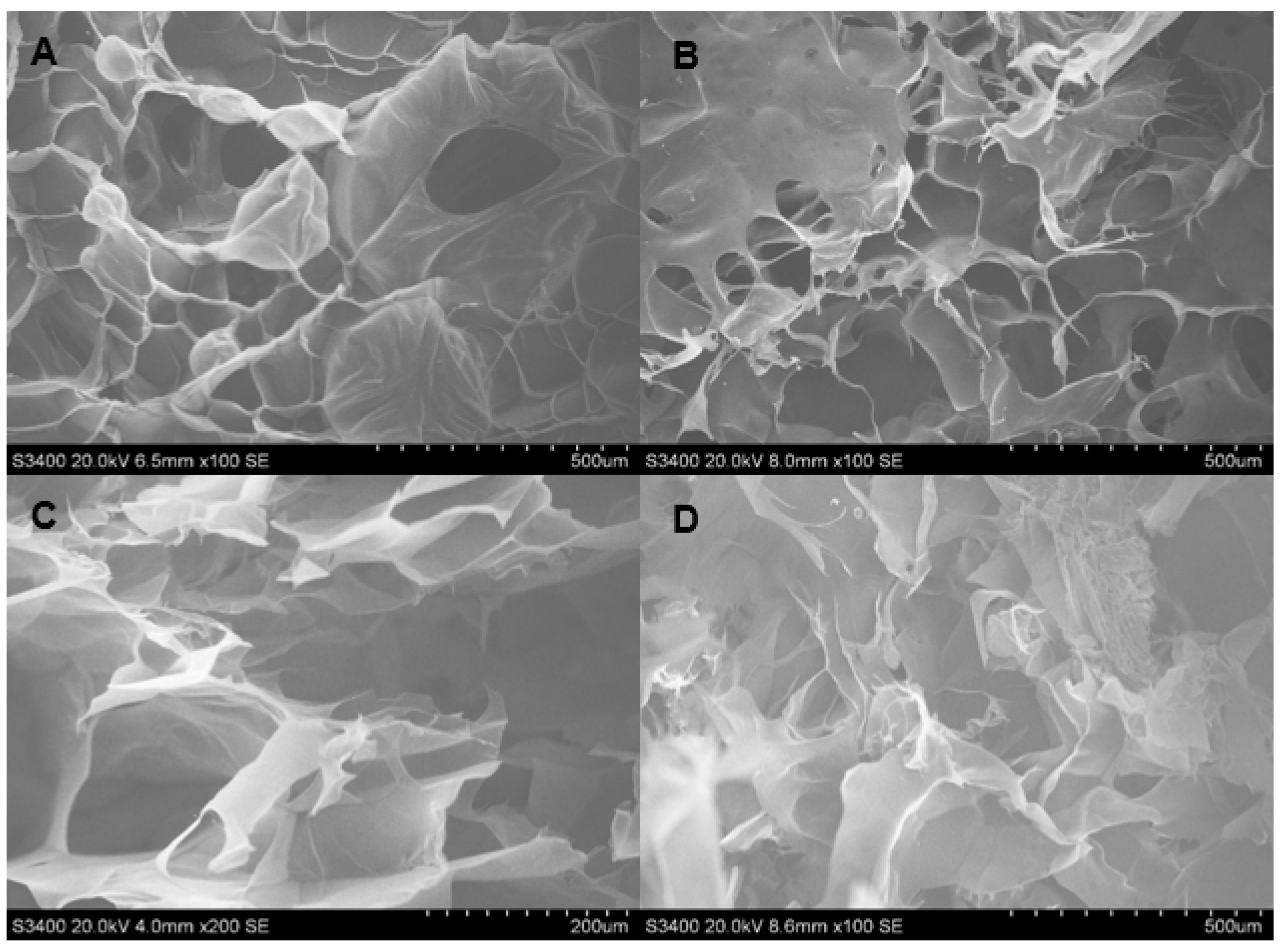 Polymers 13 03580 g002