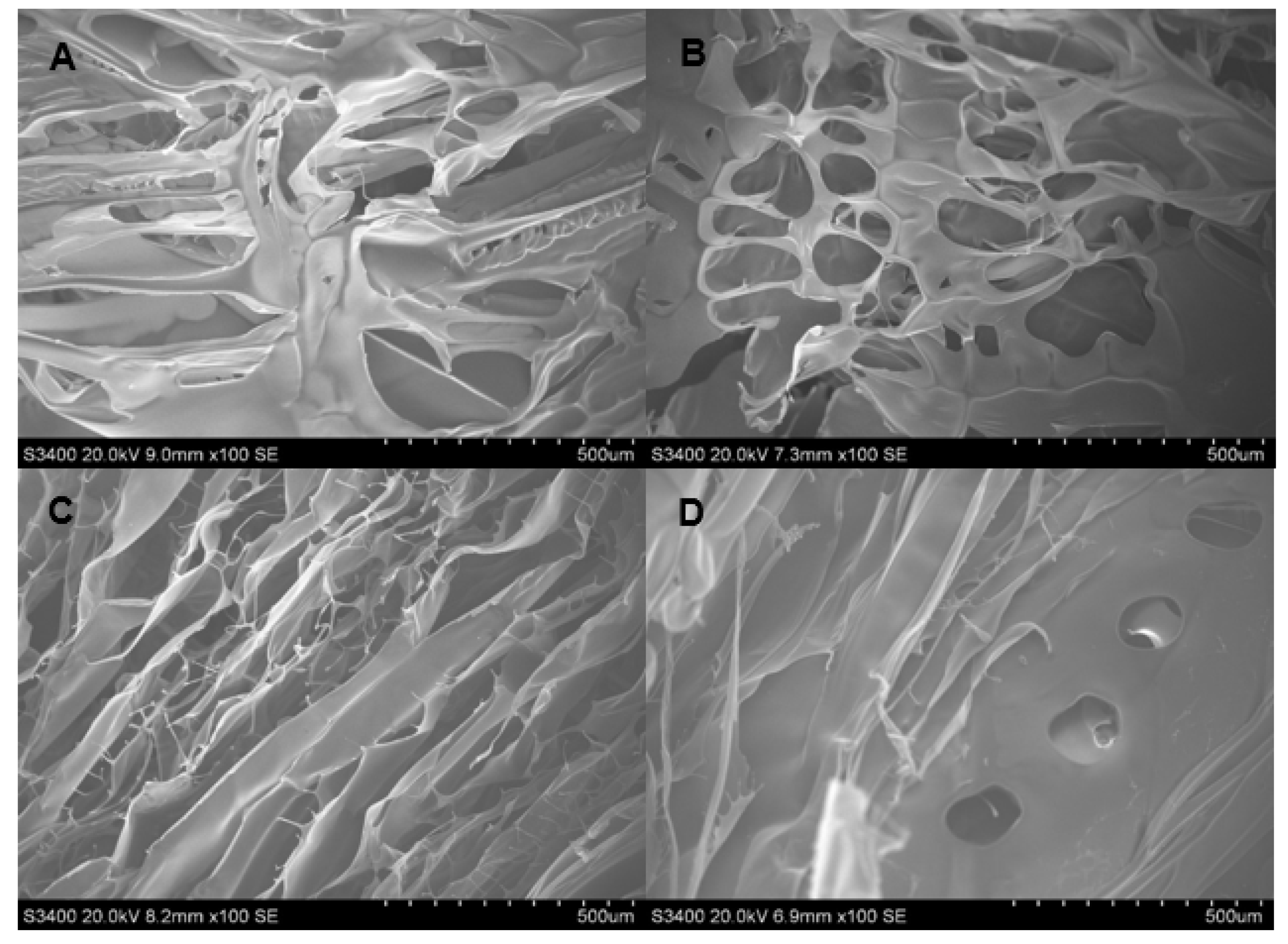 Polymers 13 03580 g003