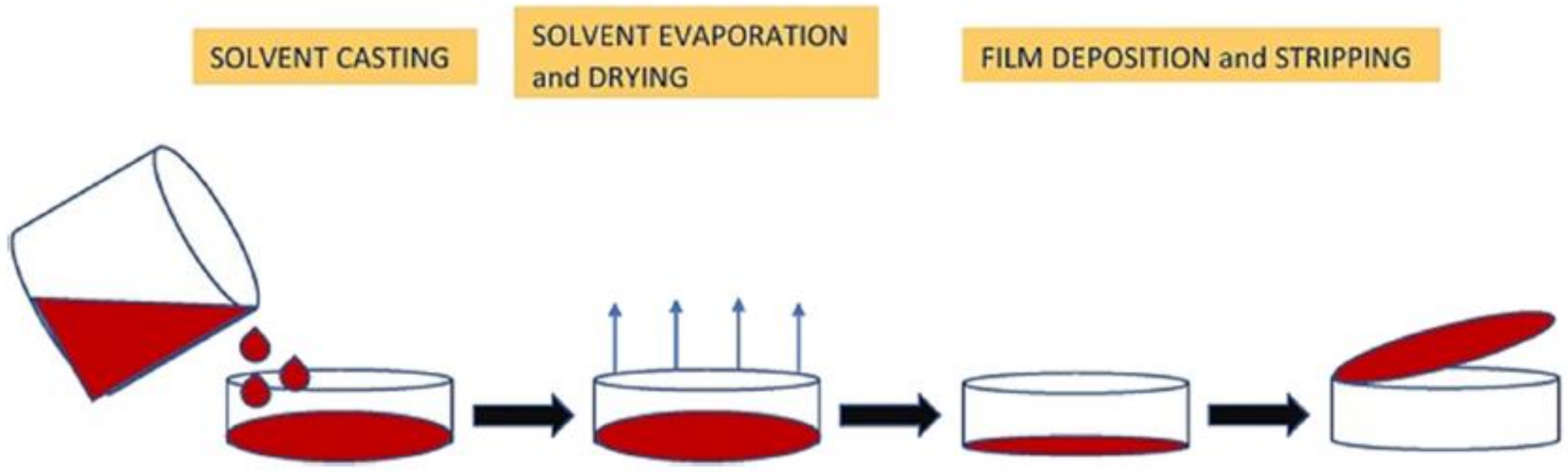 Polymers 13 03624 g002