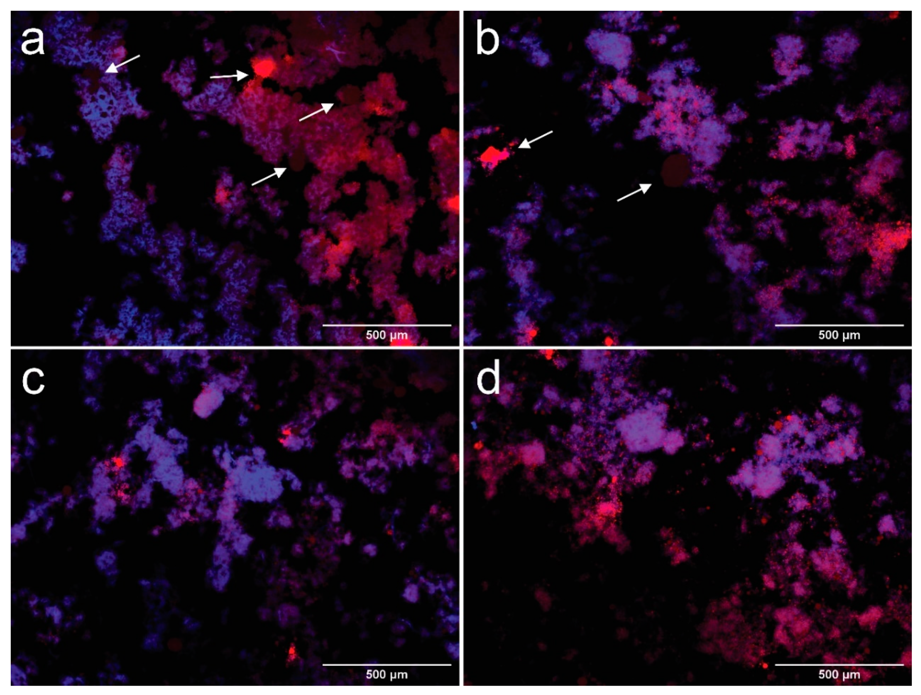 Polymers 13 03625 g003
