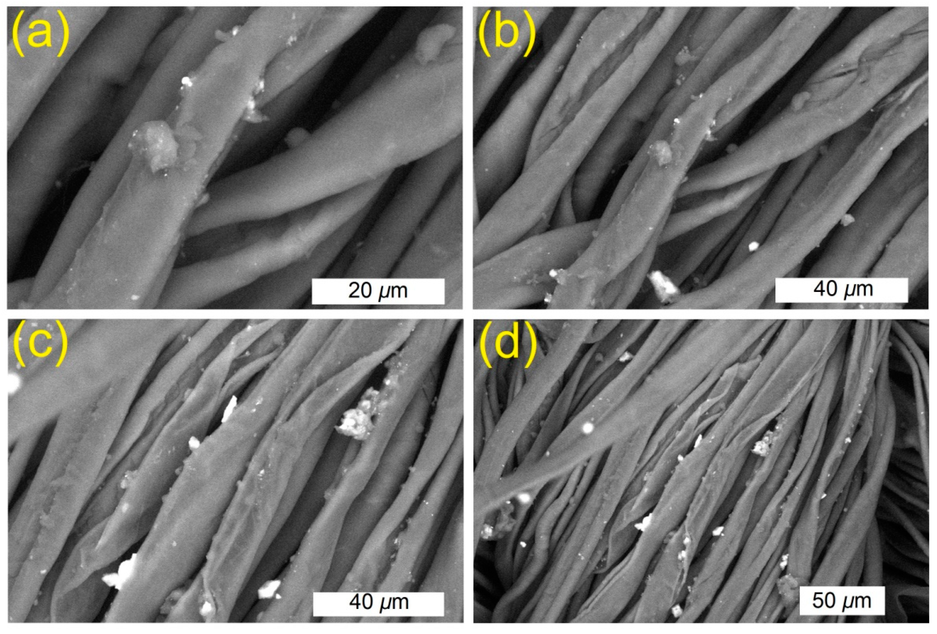 Polymers 13 03664 g004