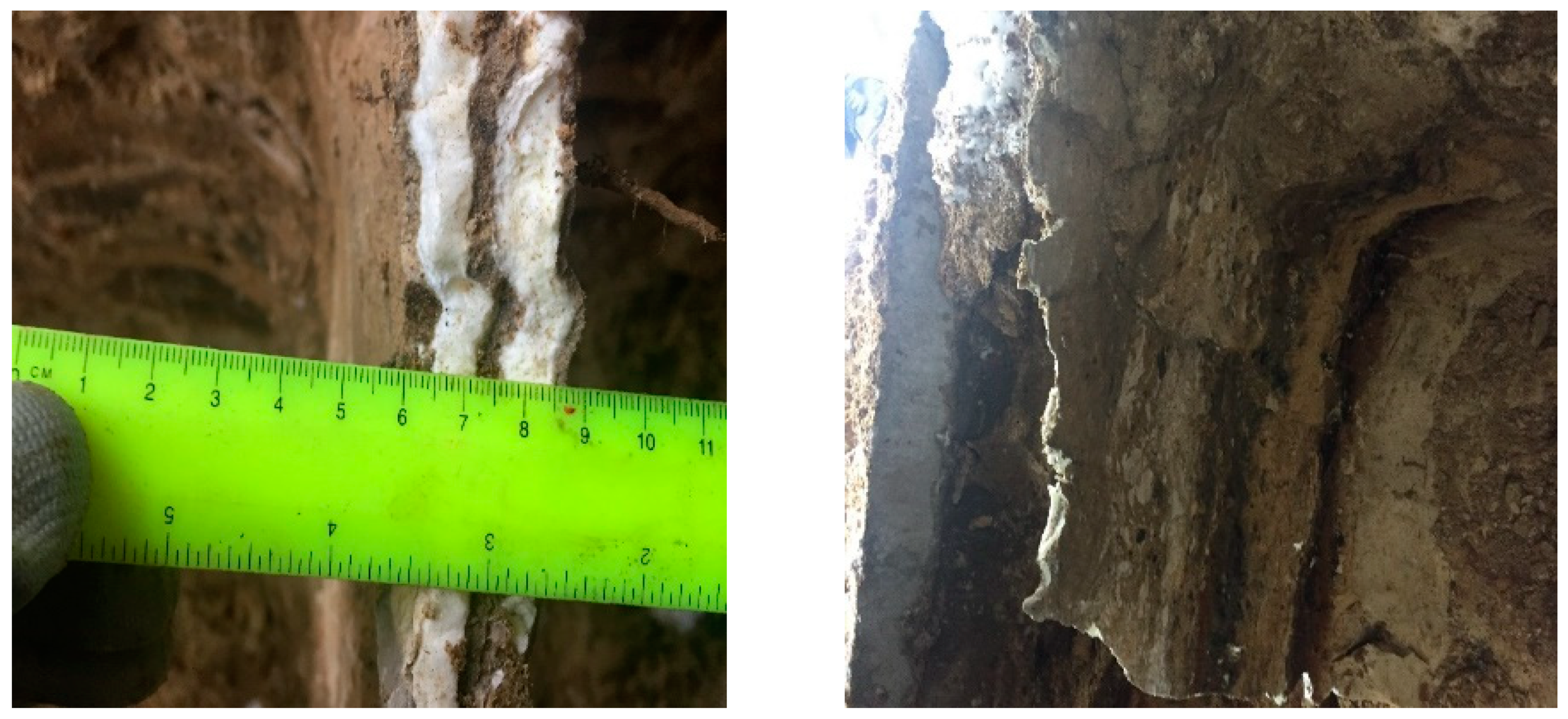 Polymers 13 03666 g003