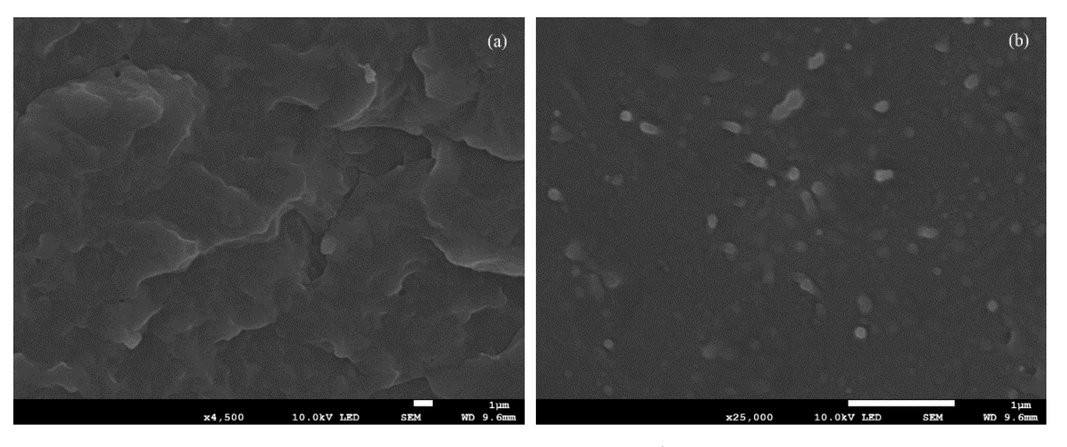 Polymers 13 03667 g001