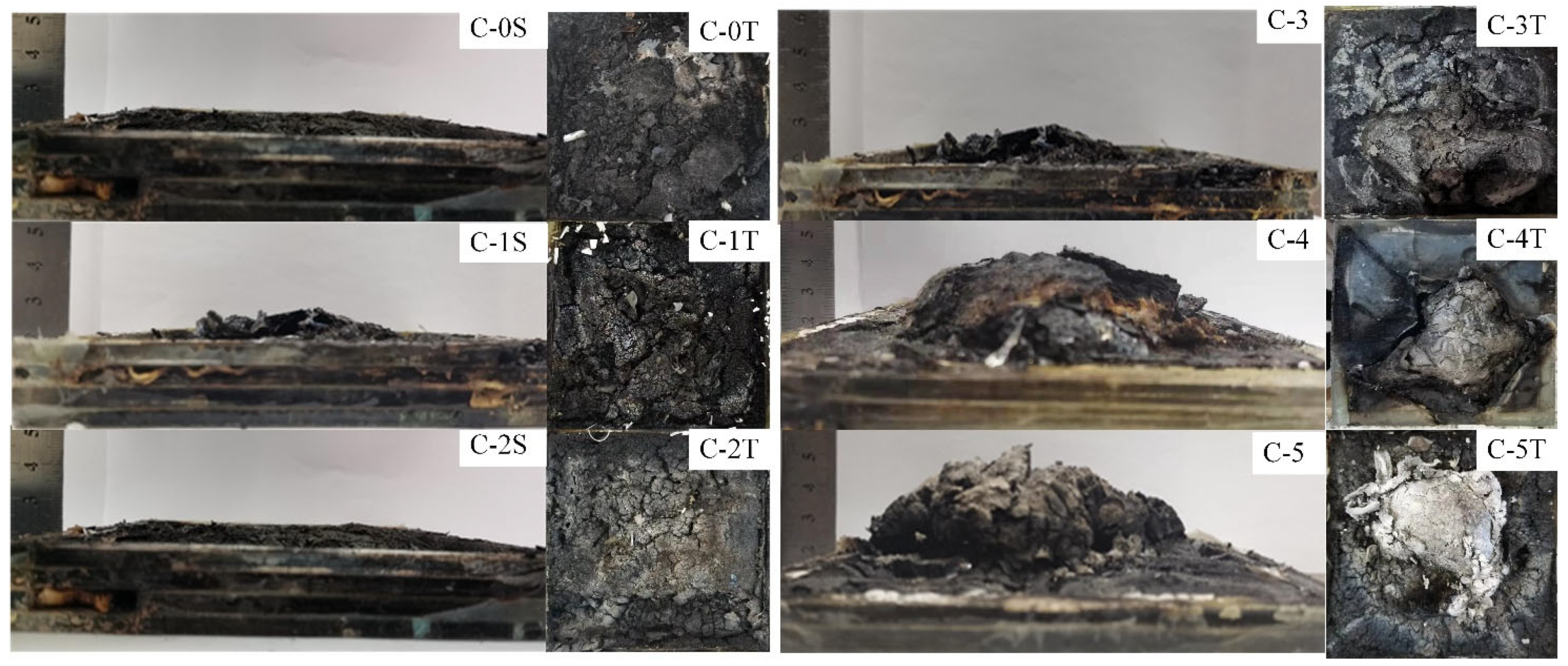 Polymers 13 03668 g006