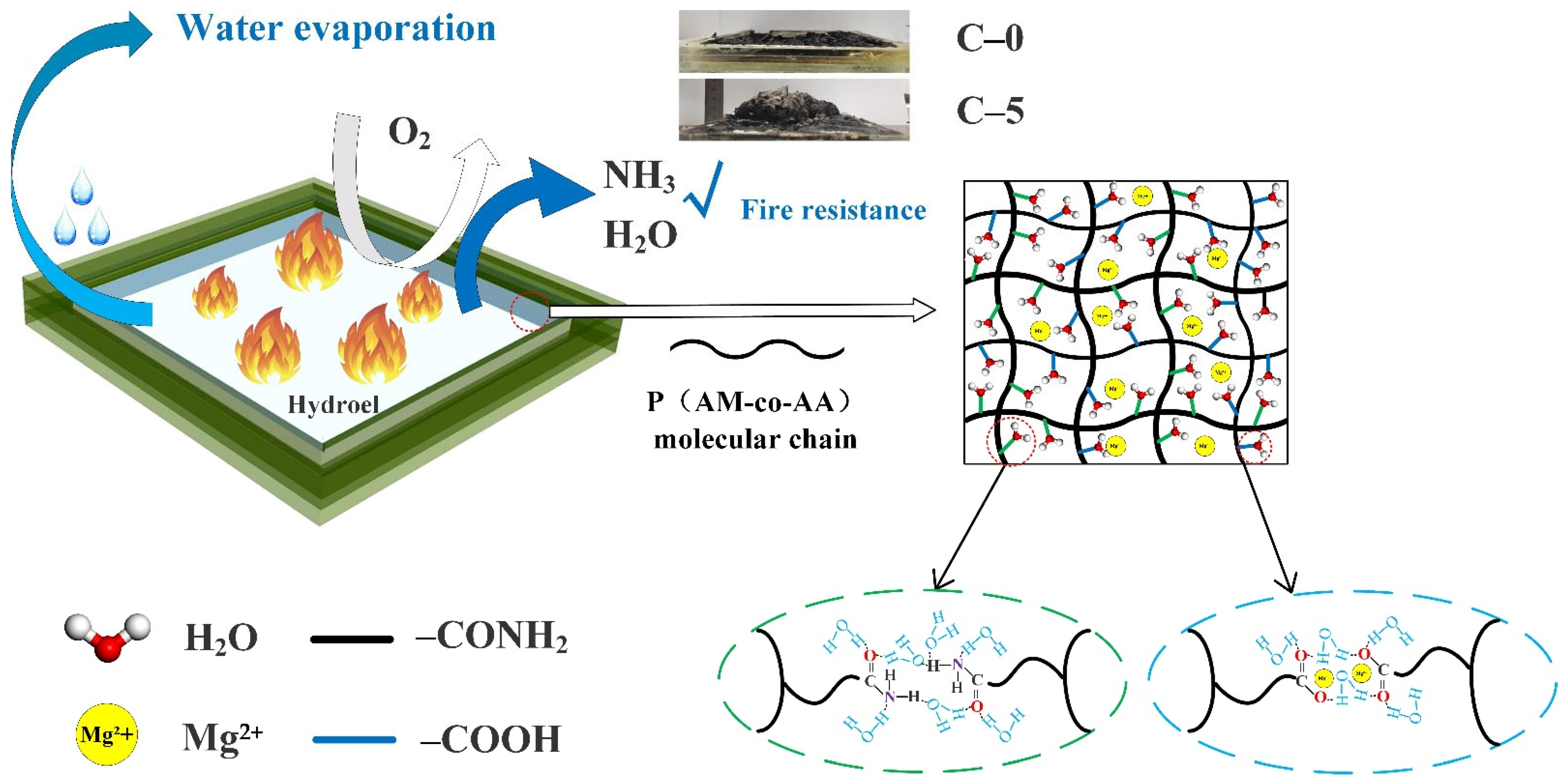 Polymers 13 03668 g007