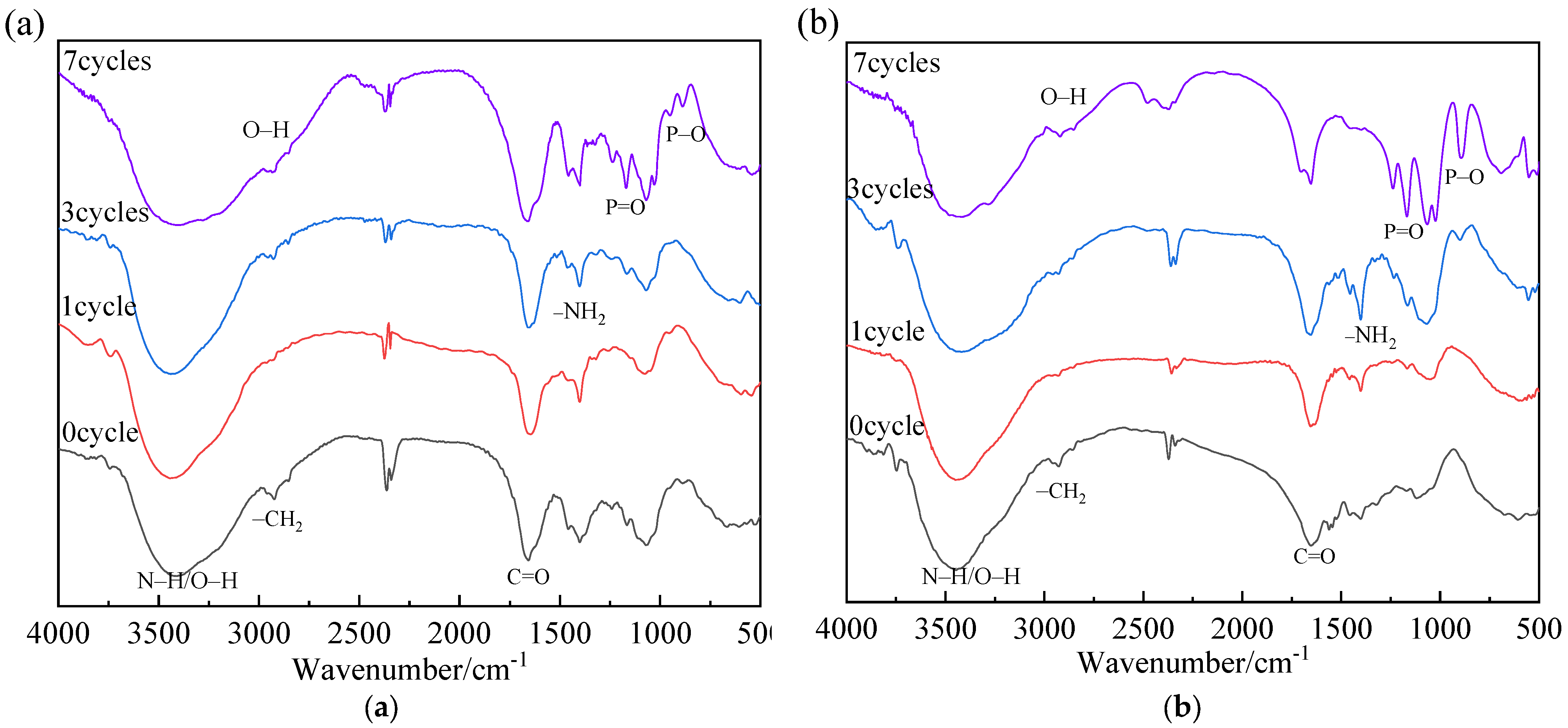 Polymers 13 03668 g013