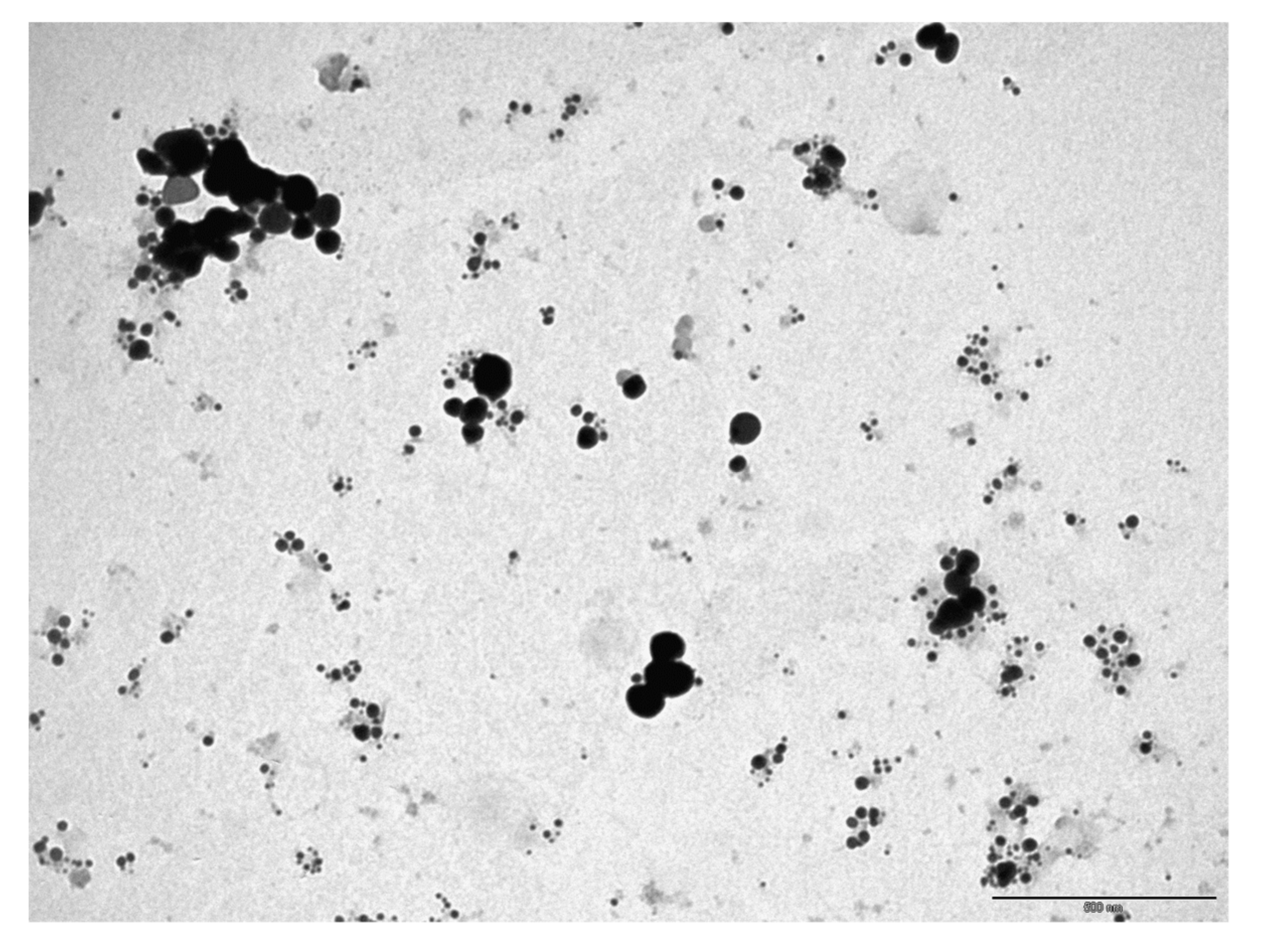 Polymers 13 03683 g004