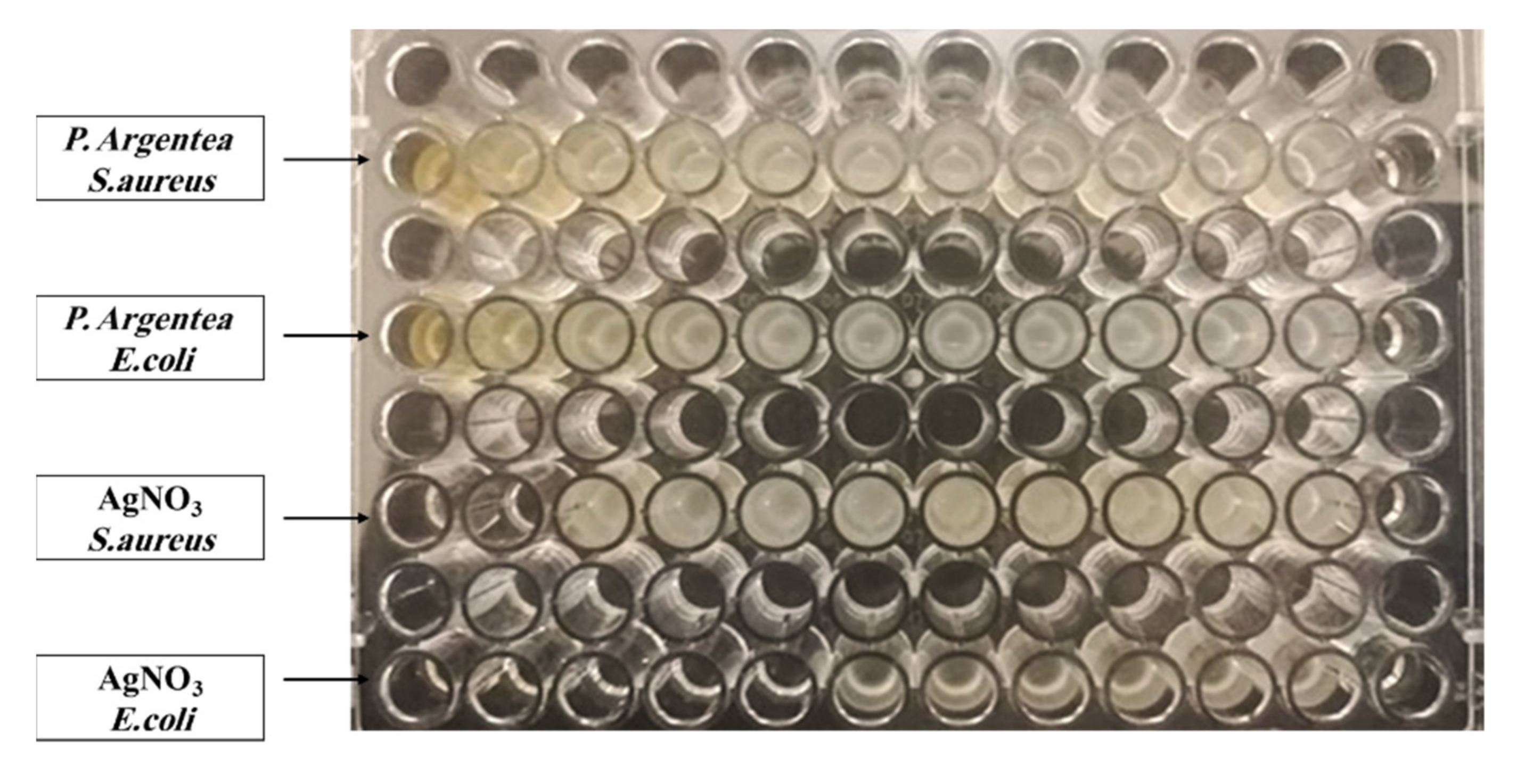 Polymers 13 03683 g008