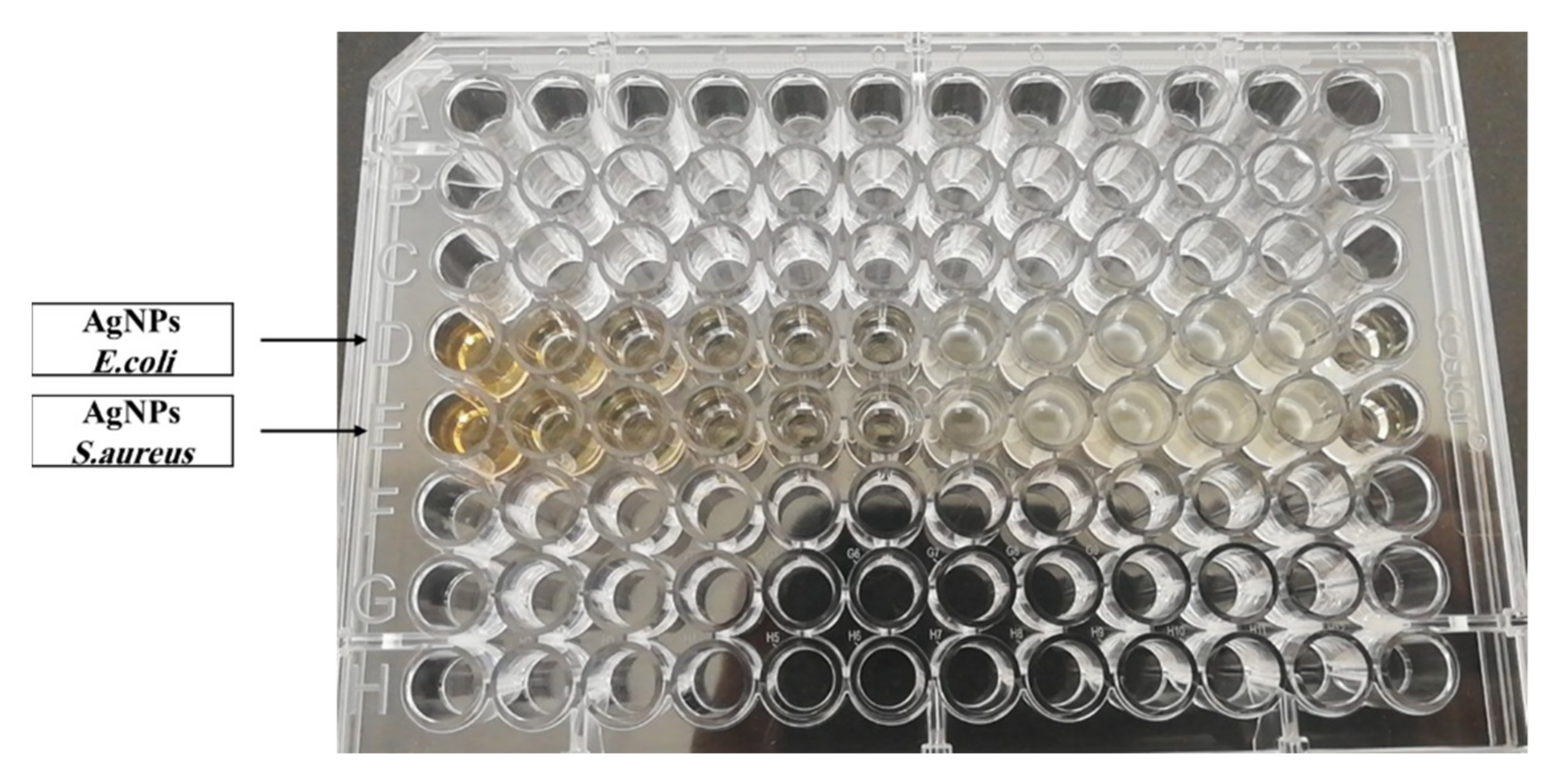 Polymers 13 03683 g009