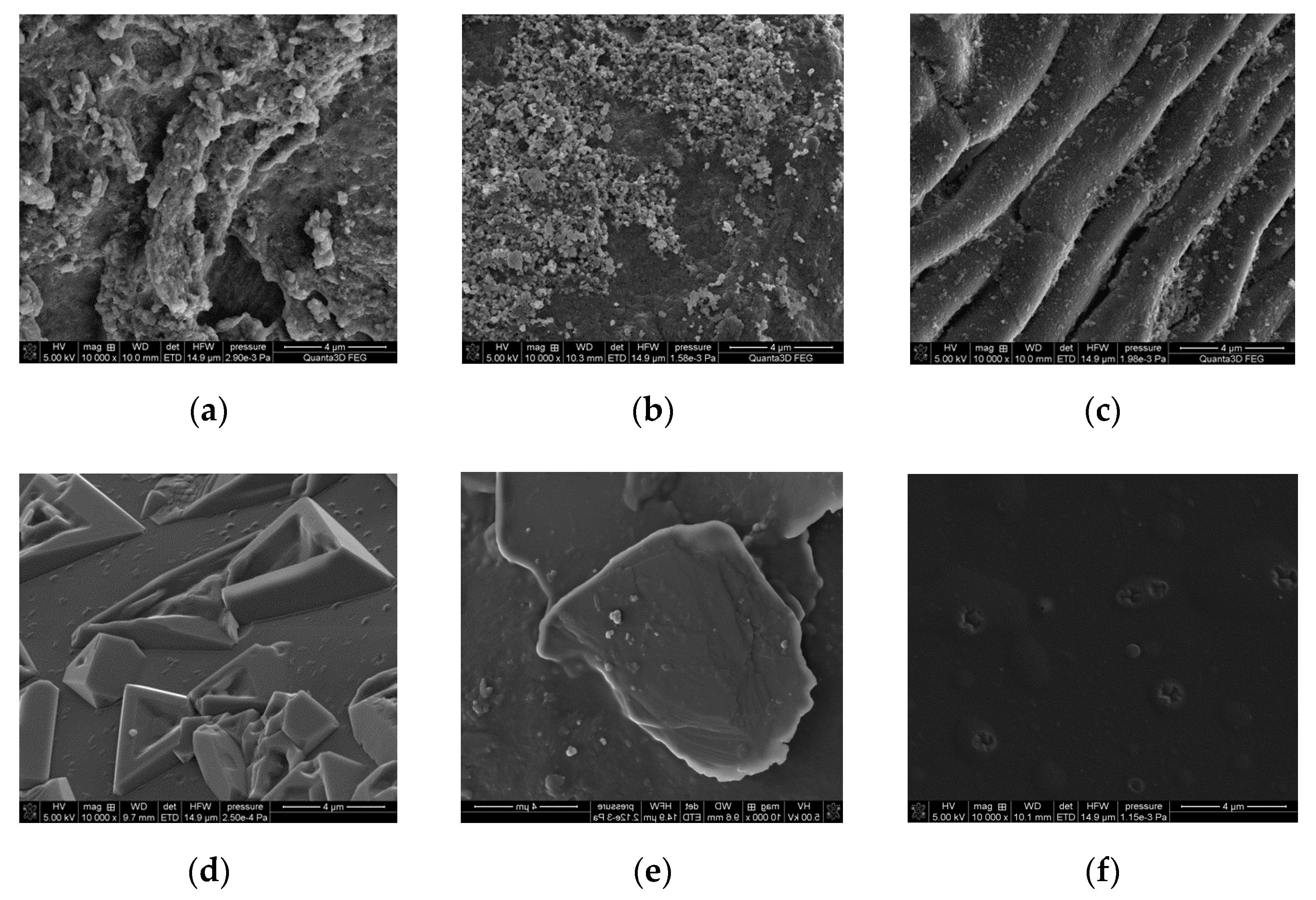 Polymers 13 03688 g005