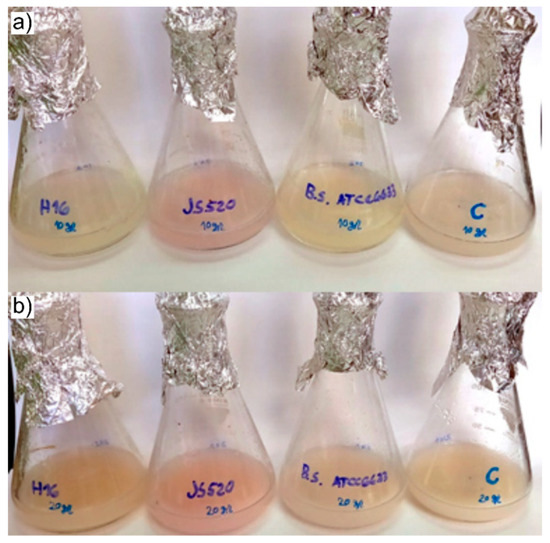 https://www.mdpi.com/polymers/polymers-13-03692/article_deploy/html/images/polymers-13-03692-g004-550.jpg