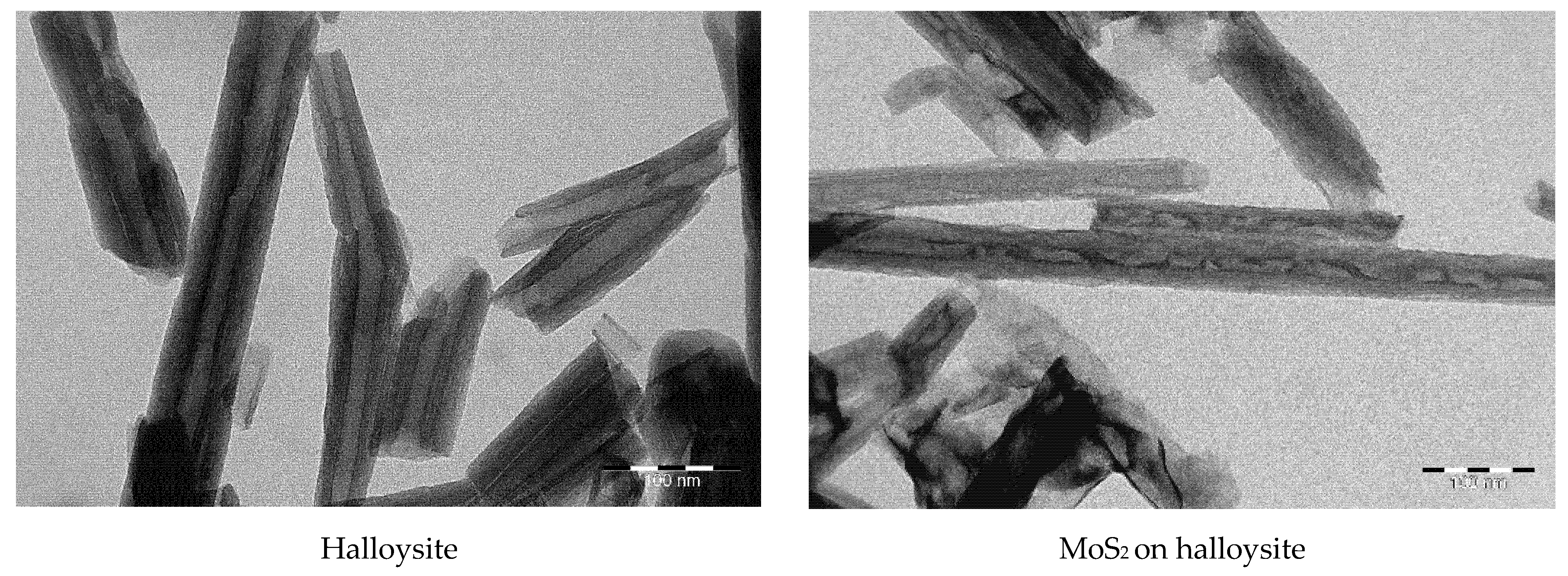 Polymers 13 03749 g001b Polymers 13 03749 g001b