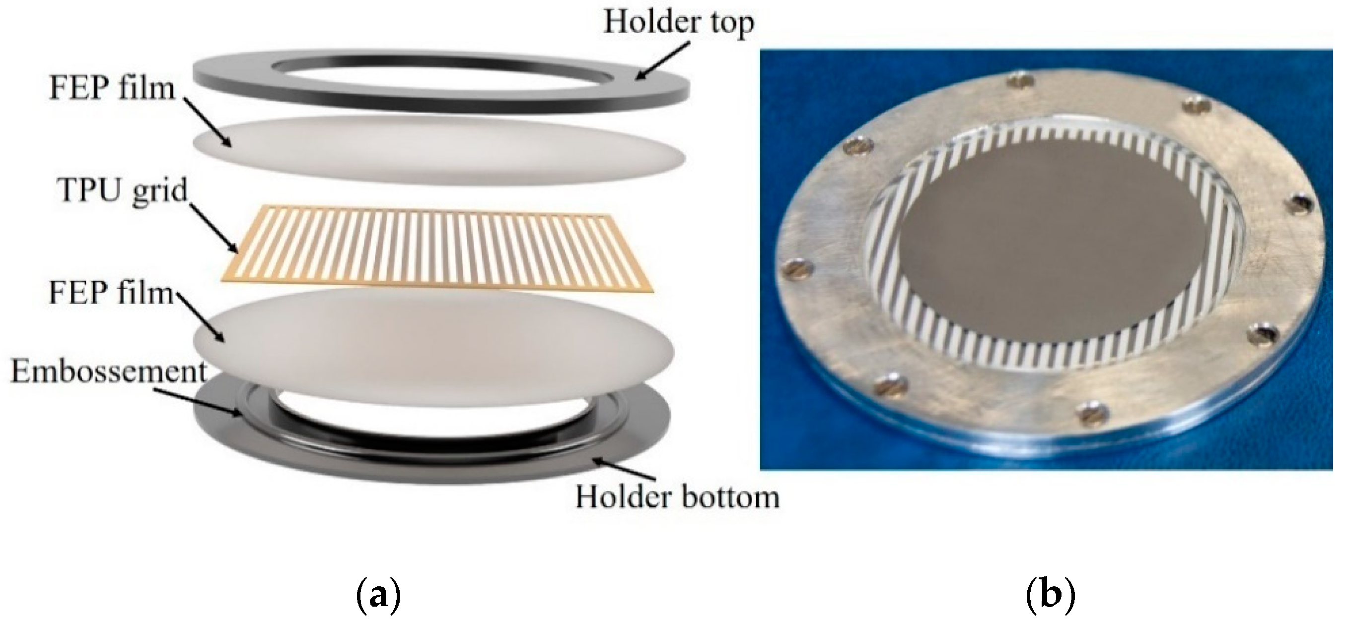 Polymers 13 03751 g002