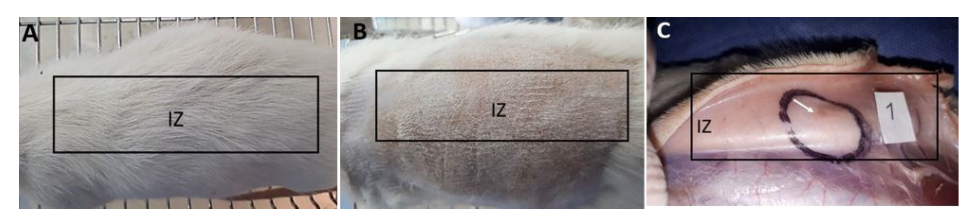 Polymers 13 03753 g008