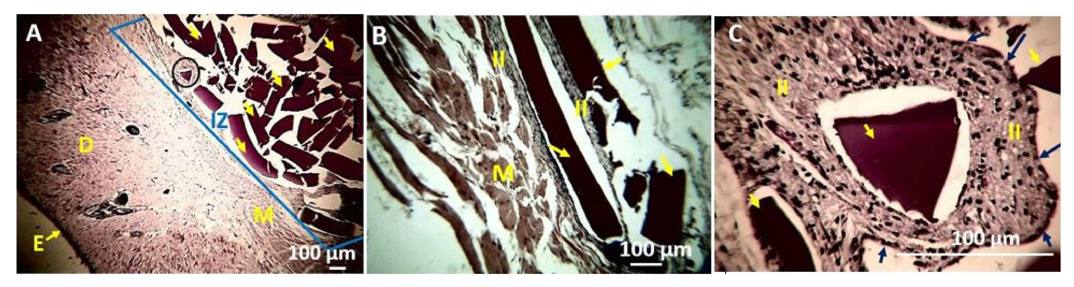 Polymers 13 03753 g010