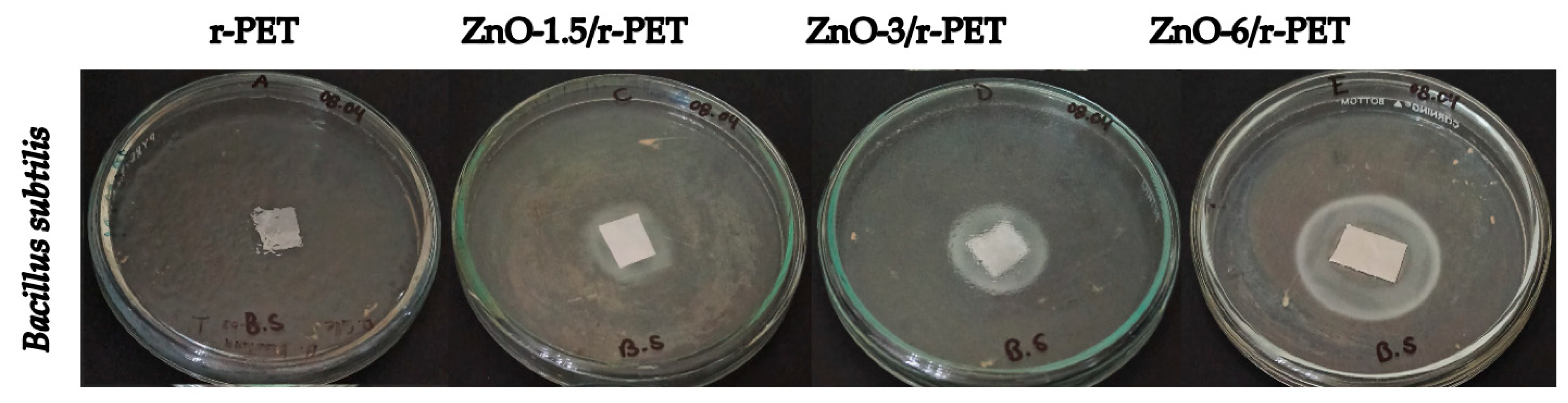 Polymers 13 03763 g004